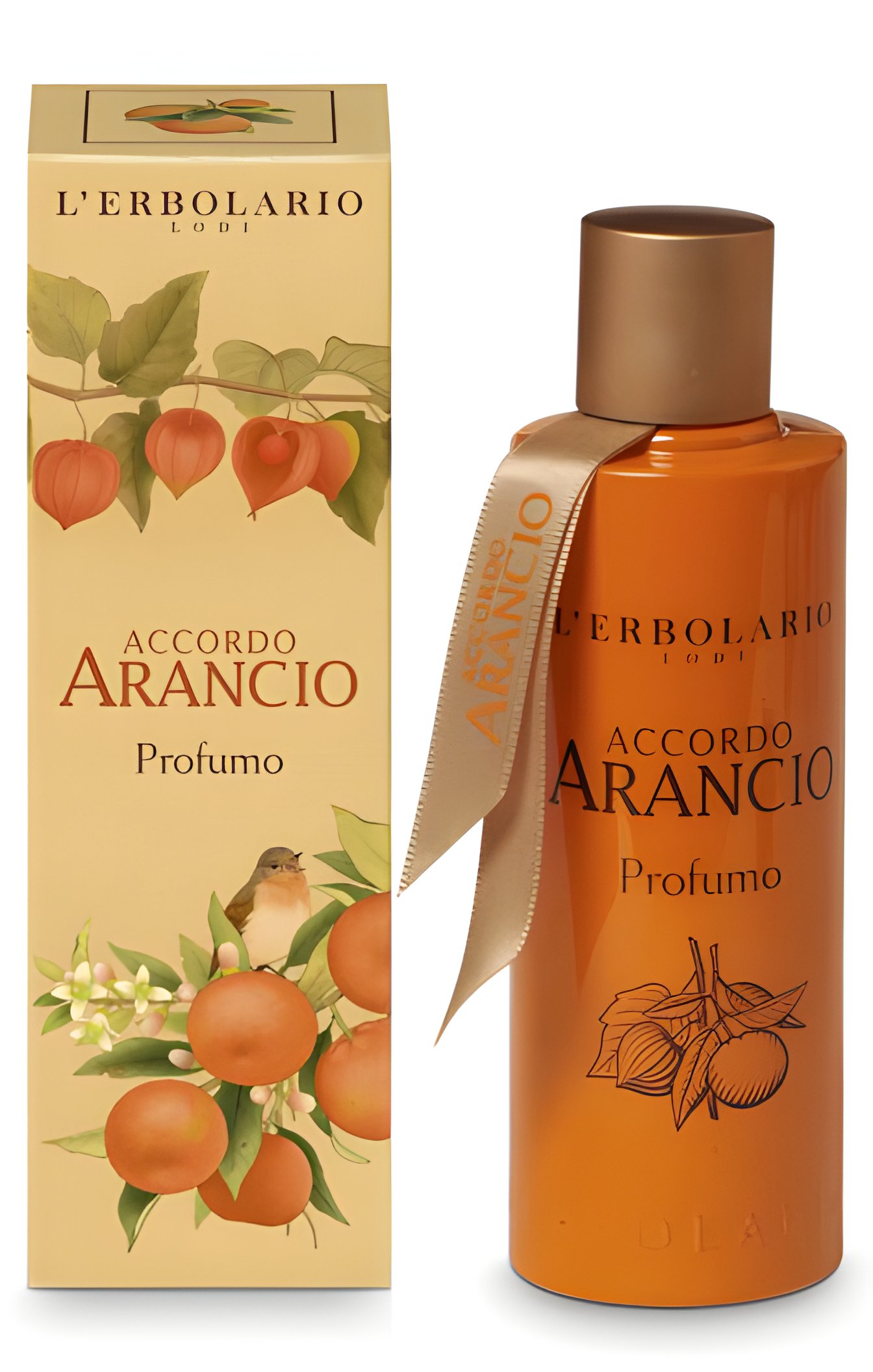 Picture of Accordo Arancio fragrance