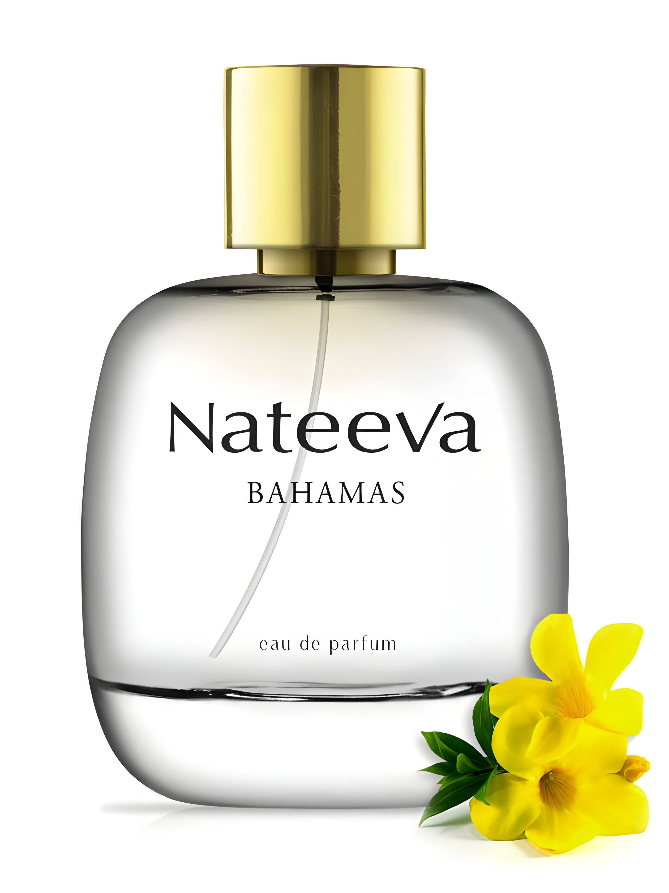 Picture of Bahamas fragrance