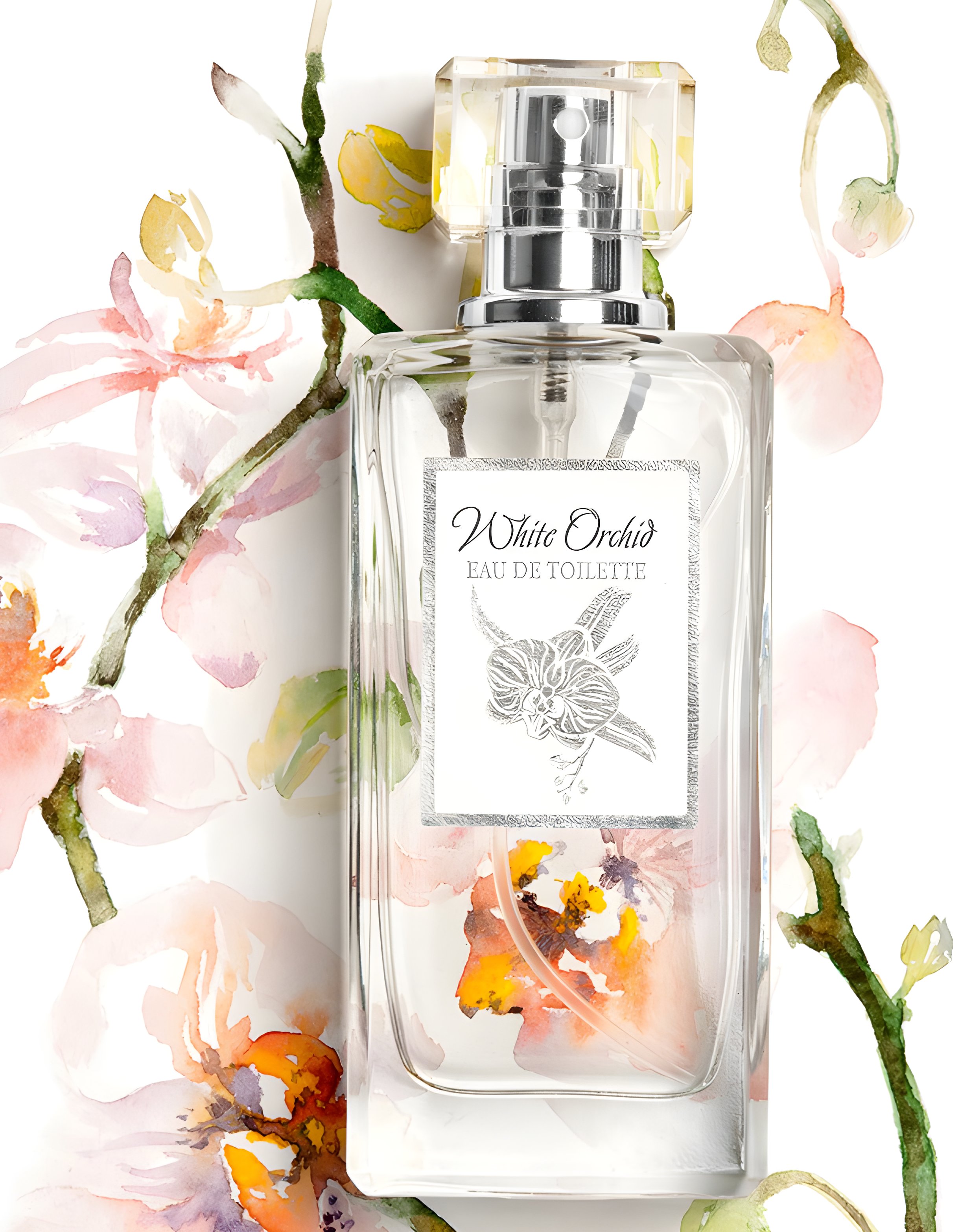 Picture of White Orchid fragrance