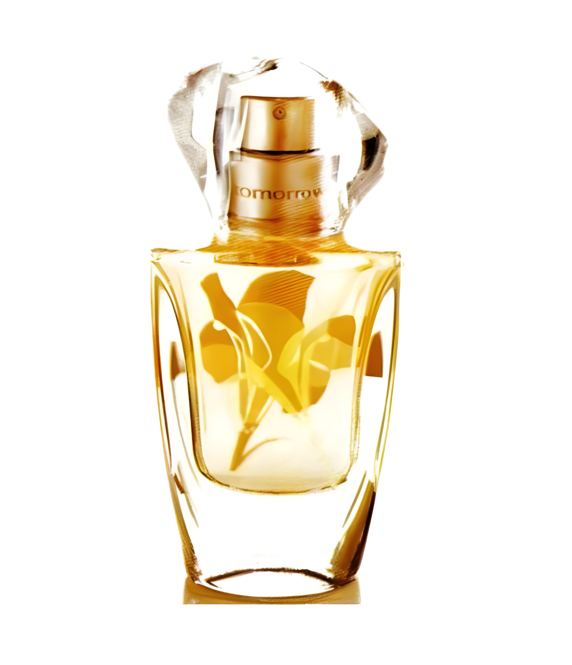 Picture of In Bloom fragrance