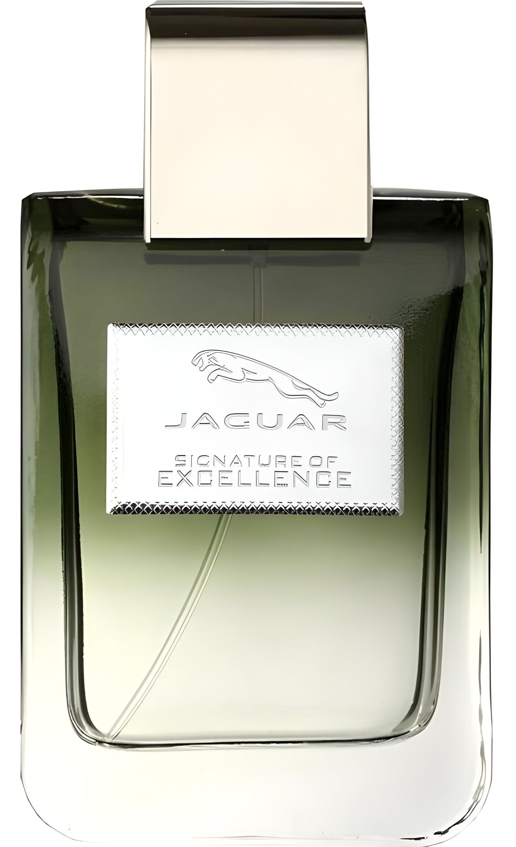 Picture of Jaguar Signature of Excellence fragrance