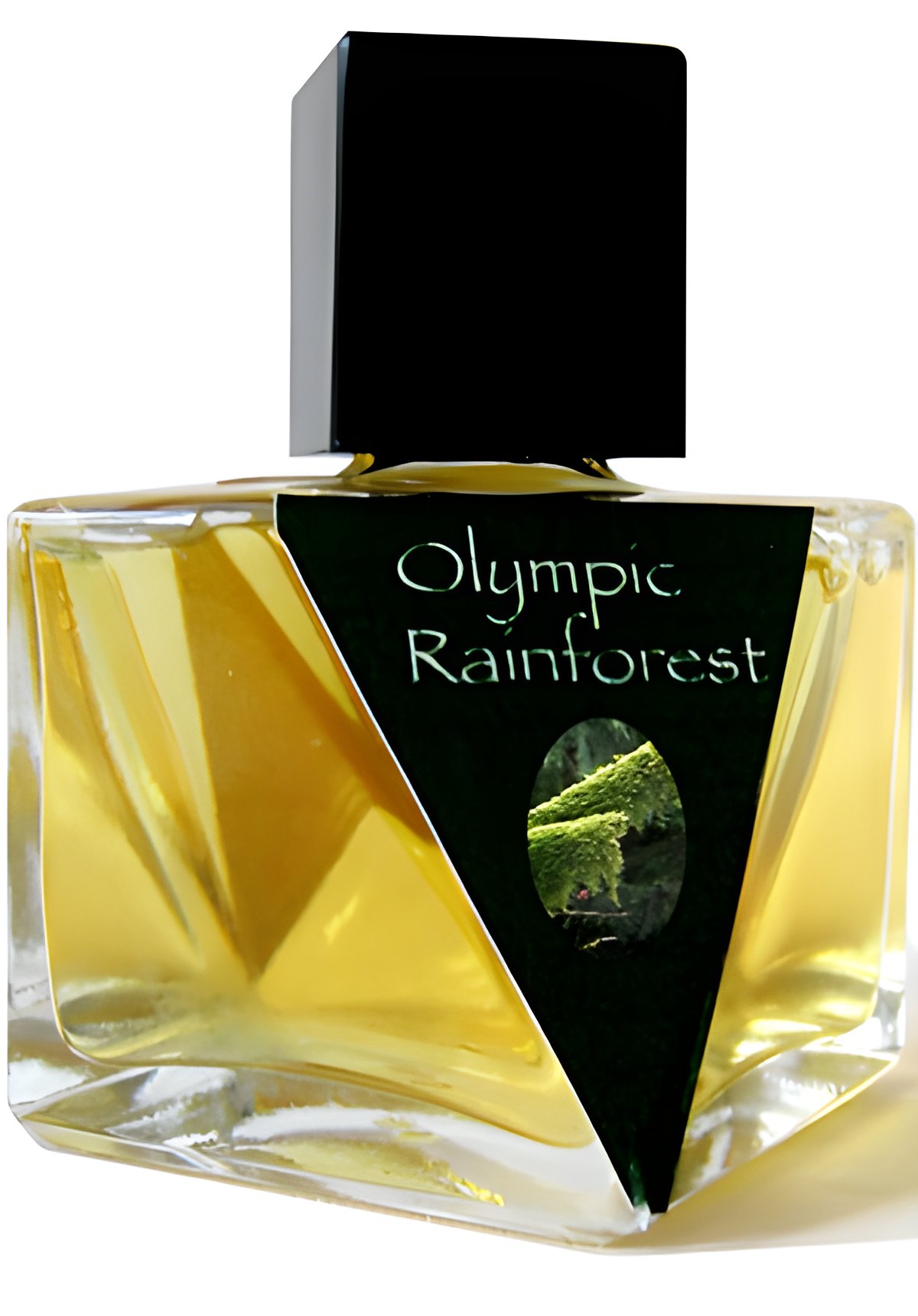 Picture of Olympic Rainforest fragrance