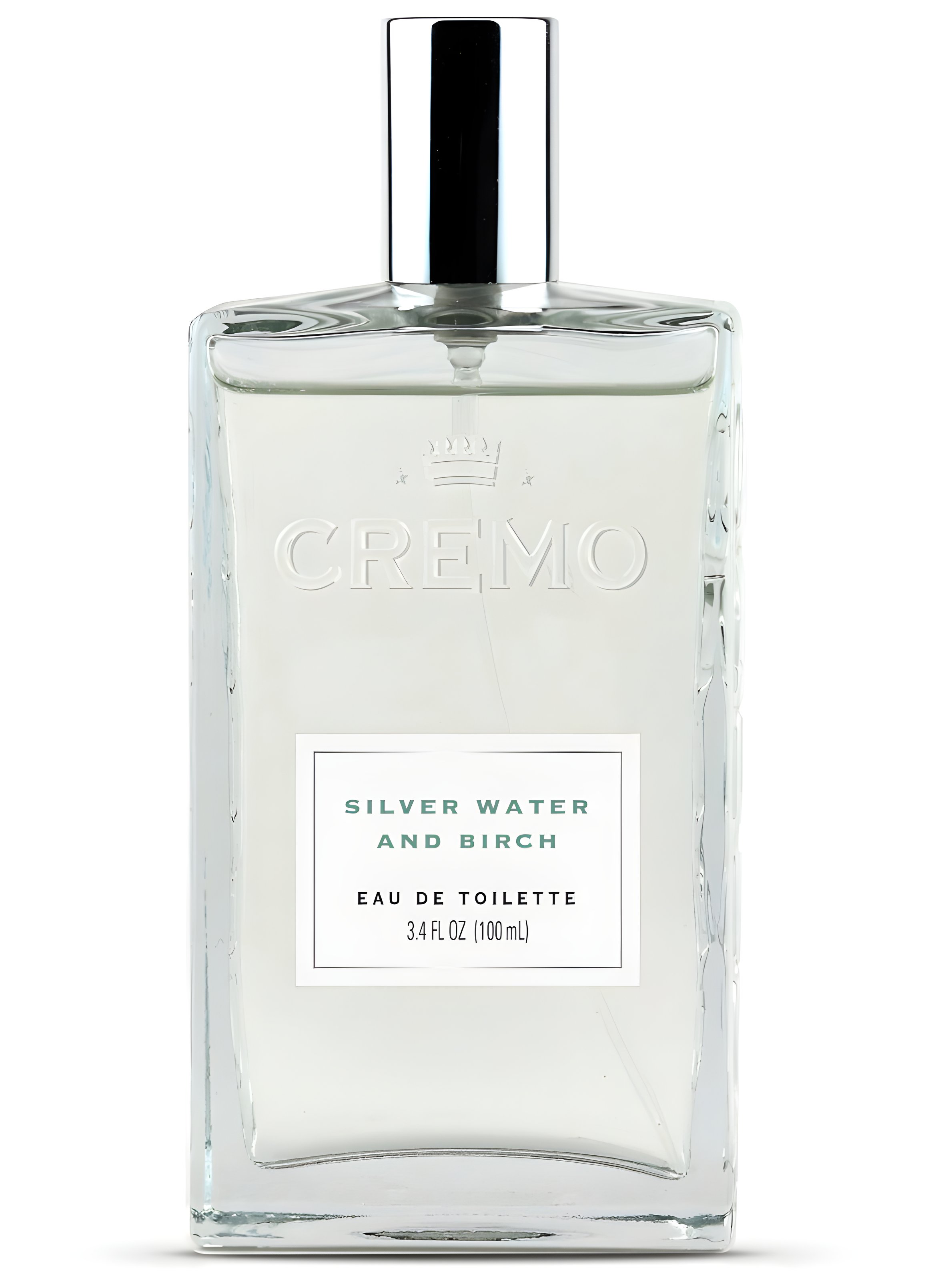 Picture of Silver Water & Birch fragrance