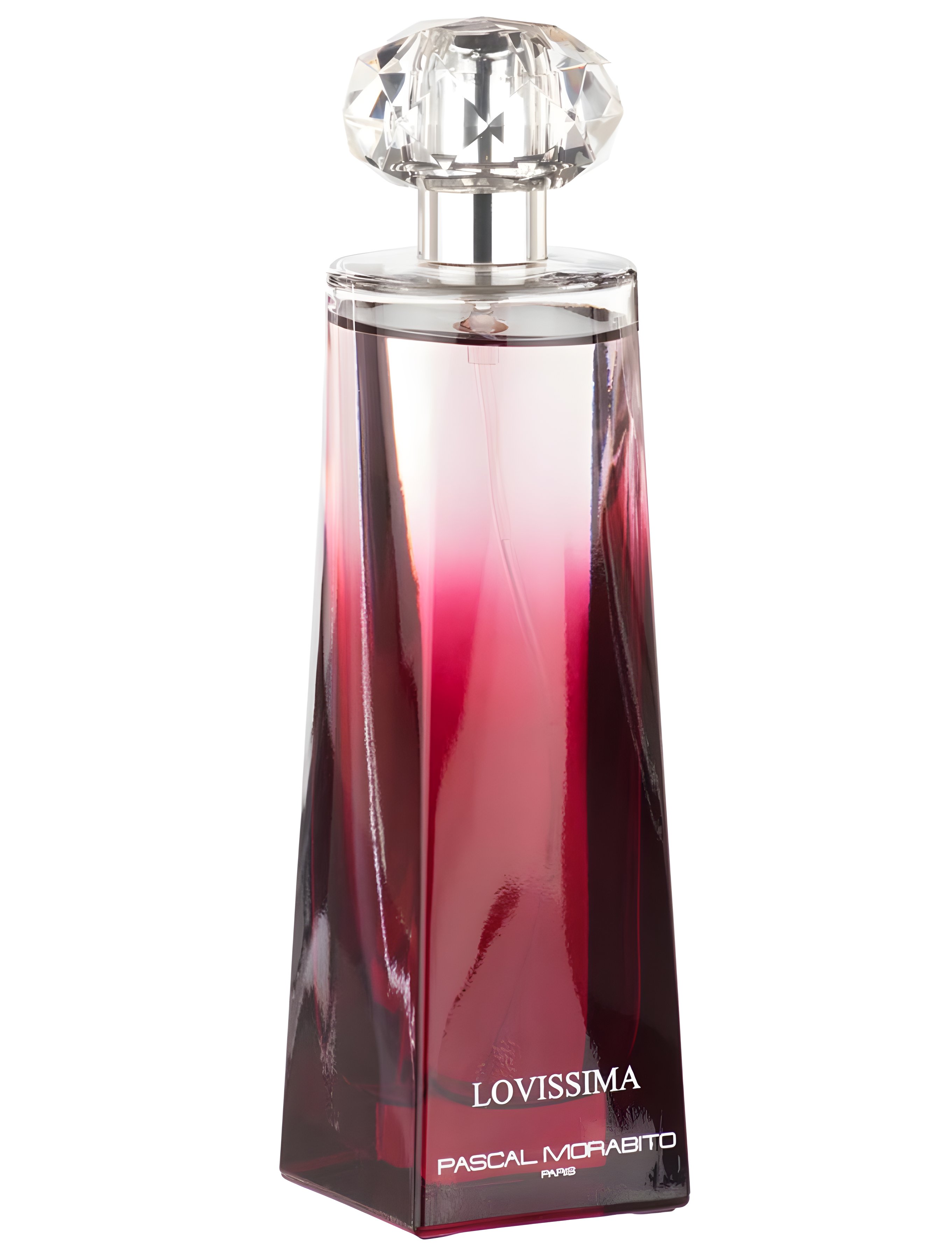 Picture of Lovissima fragrance