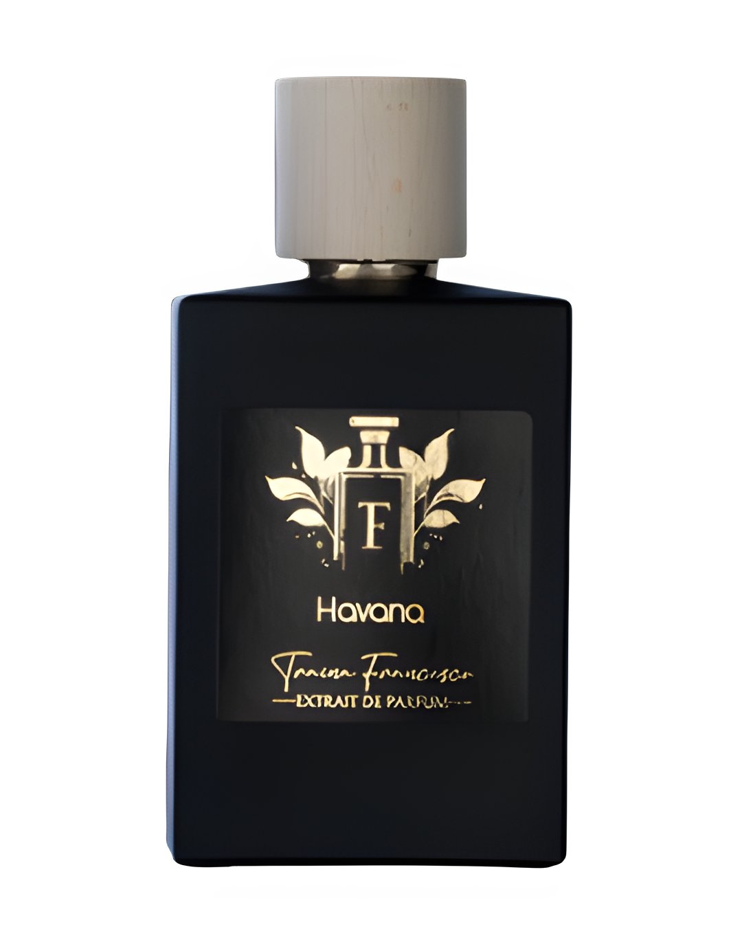 Picture of Havana fragrance