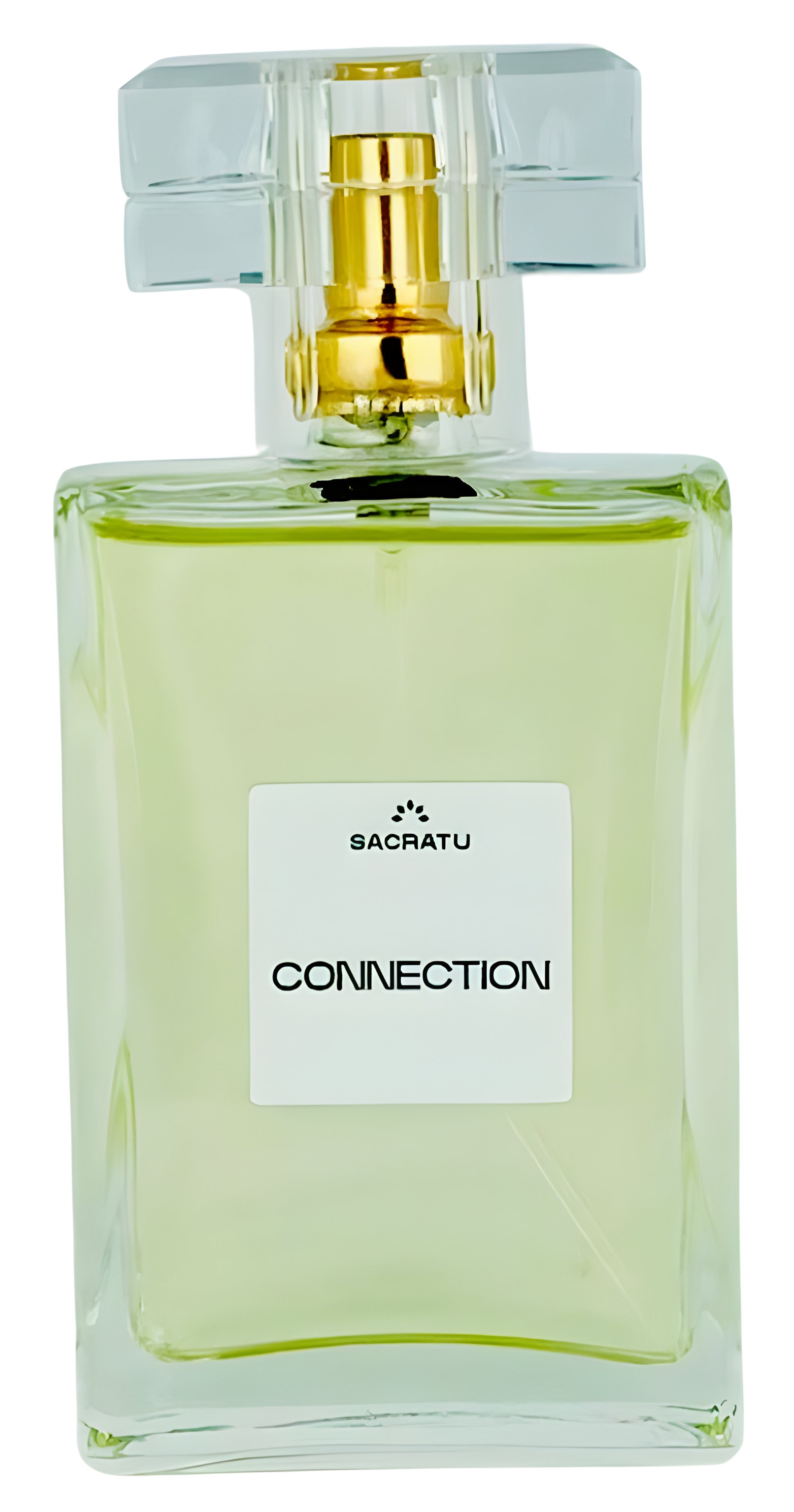 Picture of Connection fragrance