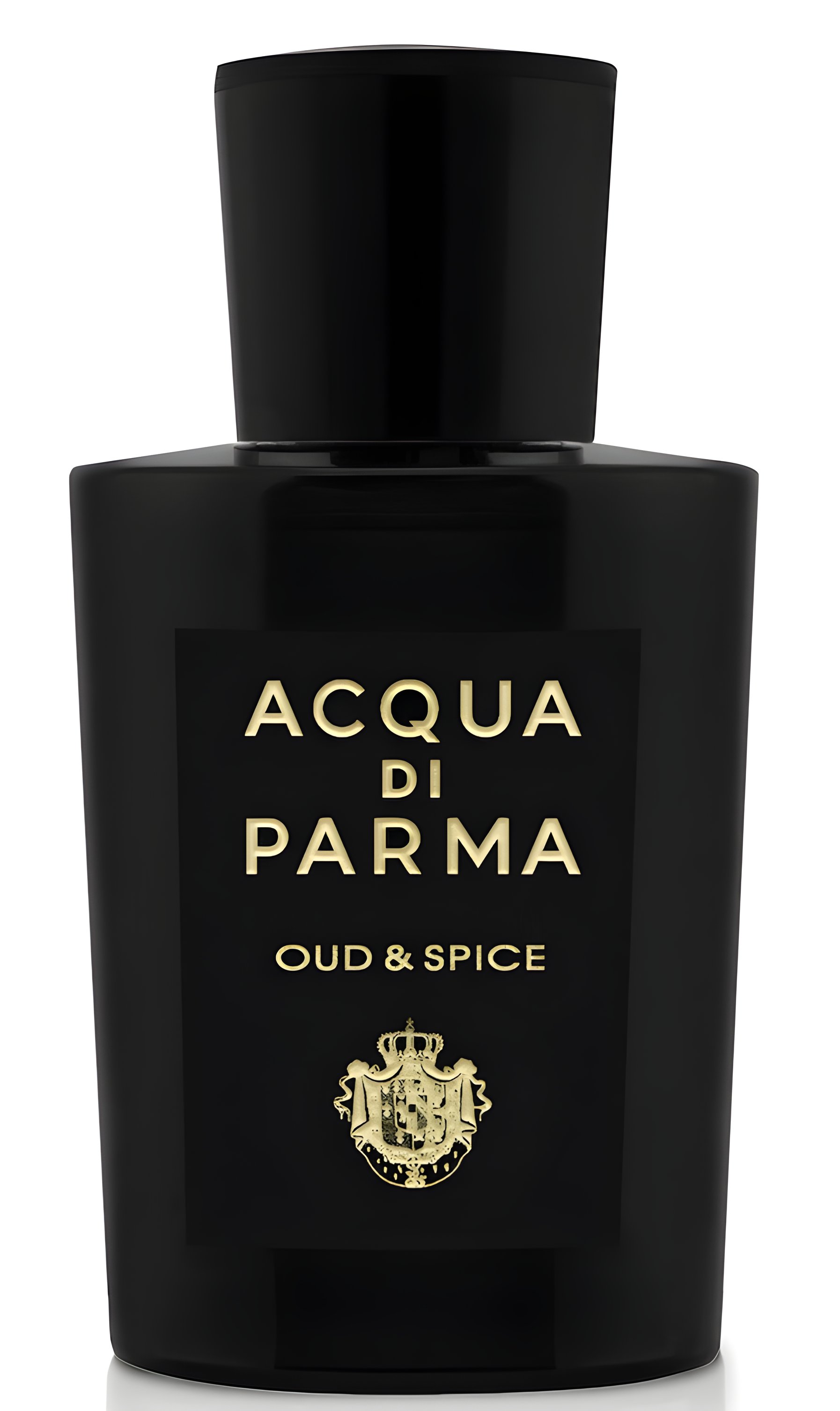 Picture of Oud & Spice fragrance