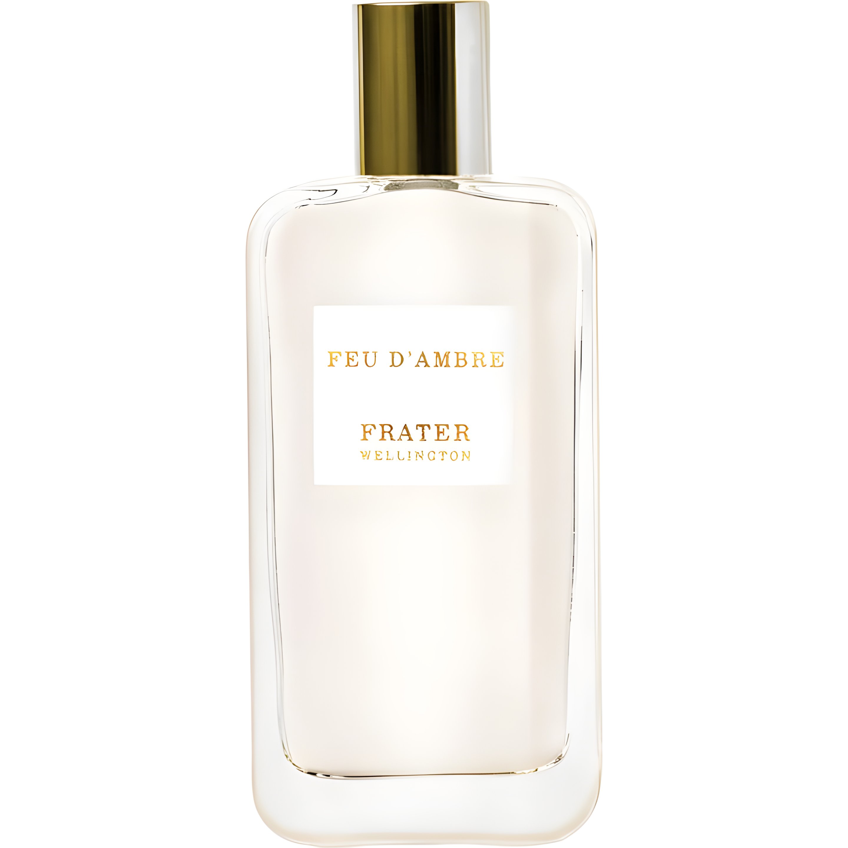 Picture of Feu D'Ambre fragrance