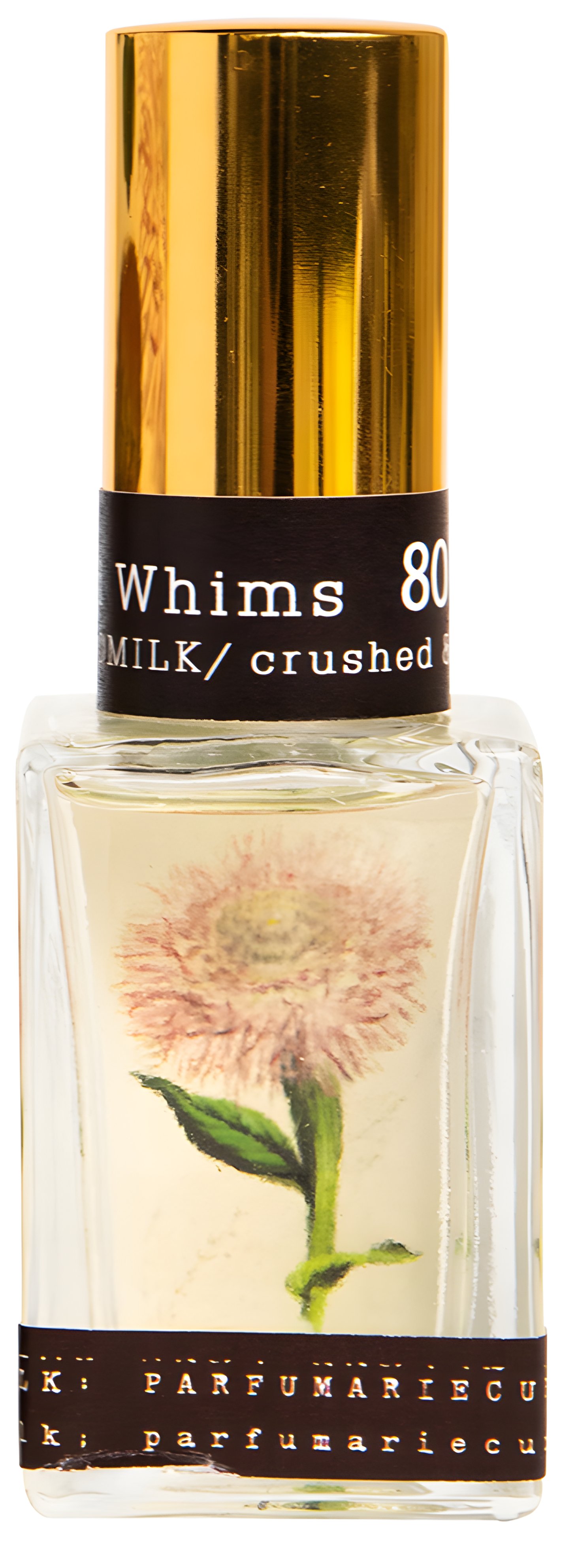 Picture of Wild Whims fragrance