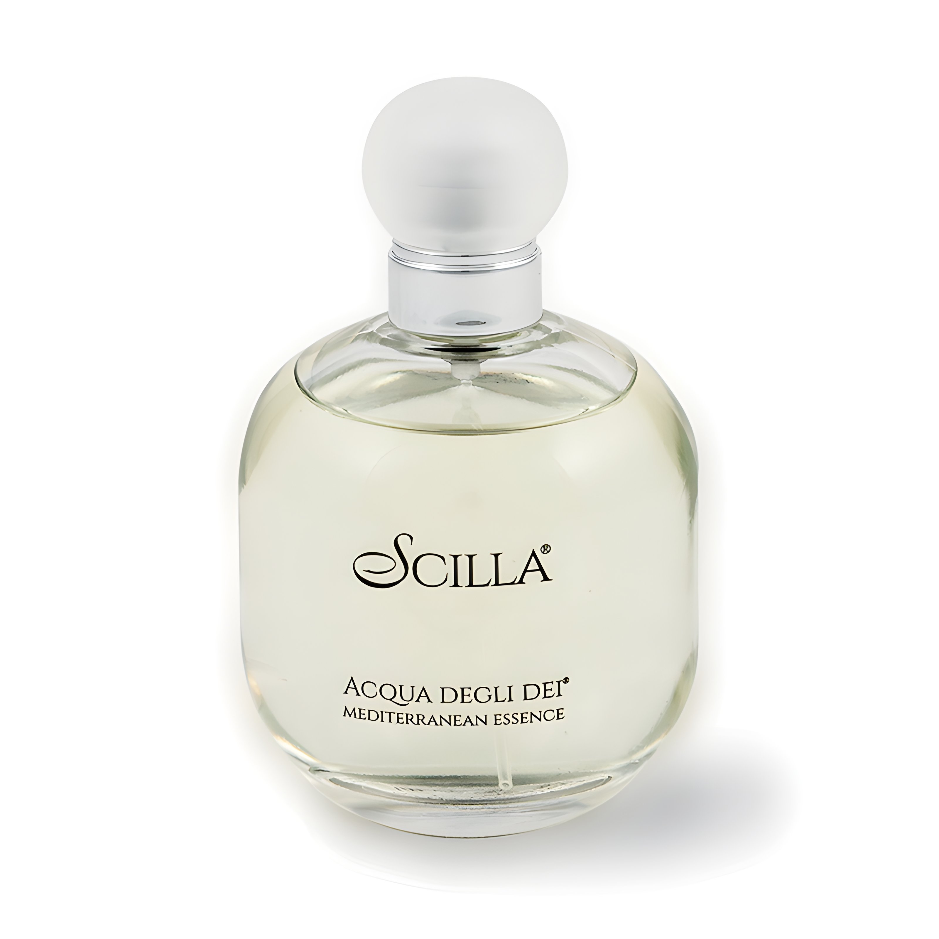 Picture of Scilla fragrance