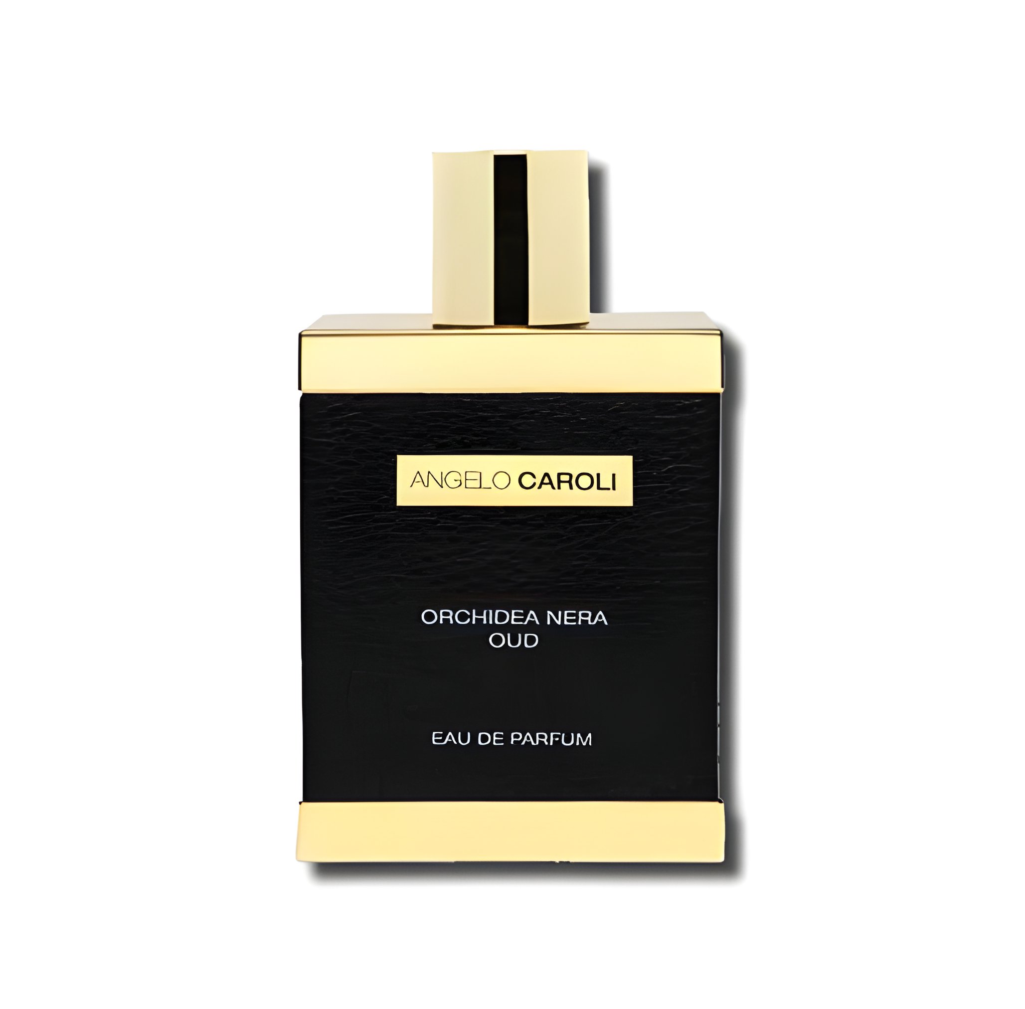 Picture of Orchidea Nera Oud fragrance