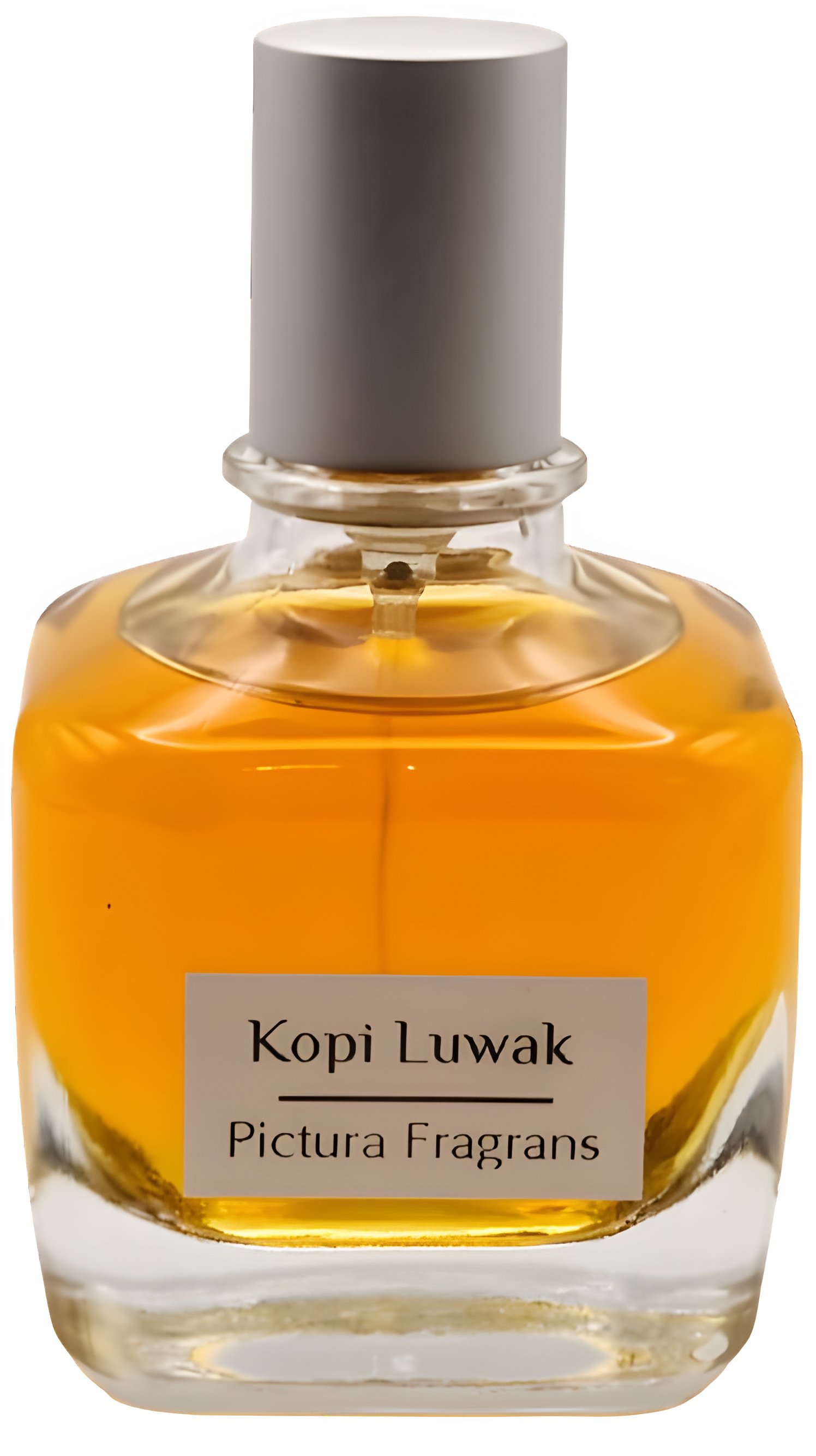 Picture of Kopi Luwak fragrance