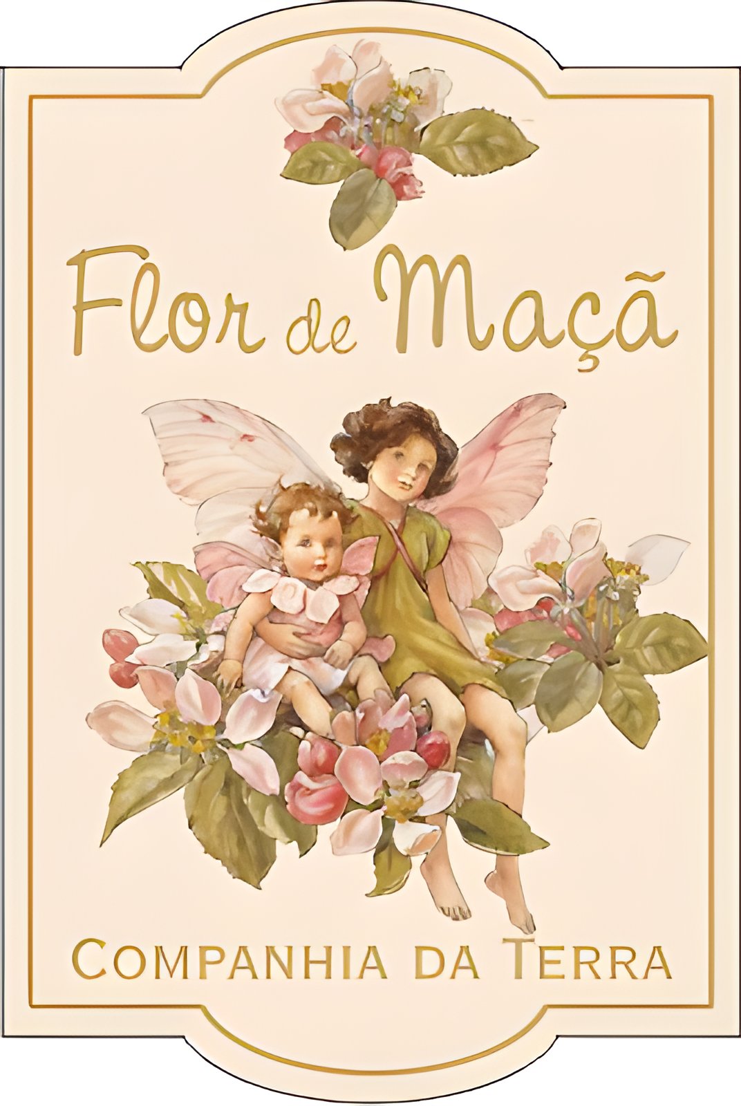 Picture of Flor de Maca fragrance