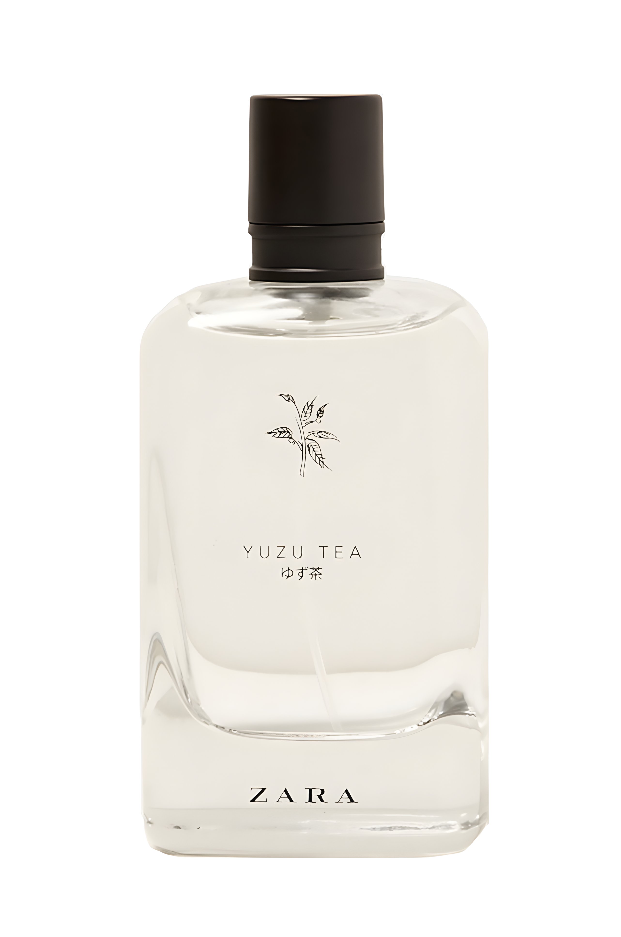 Picture of Yuzu Tea fragrance