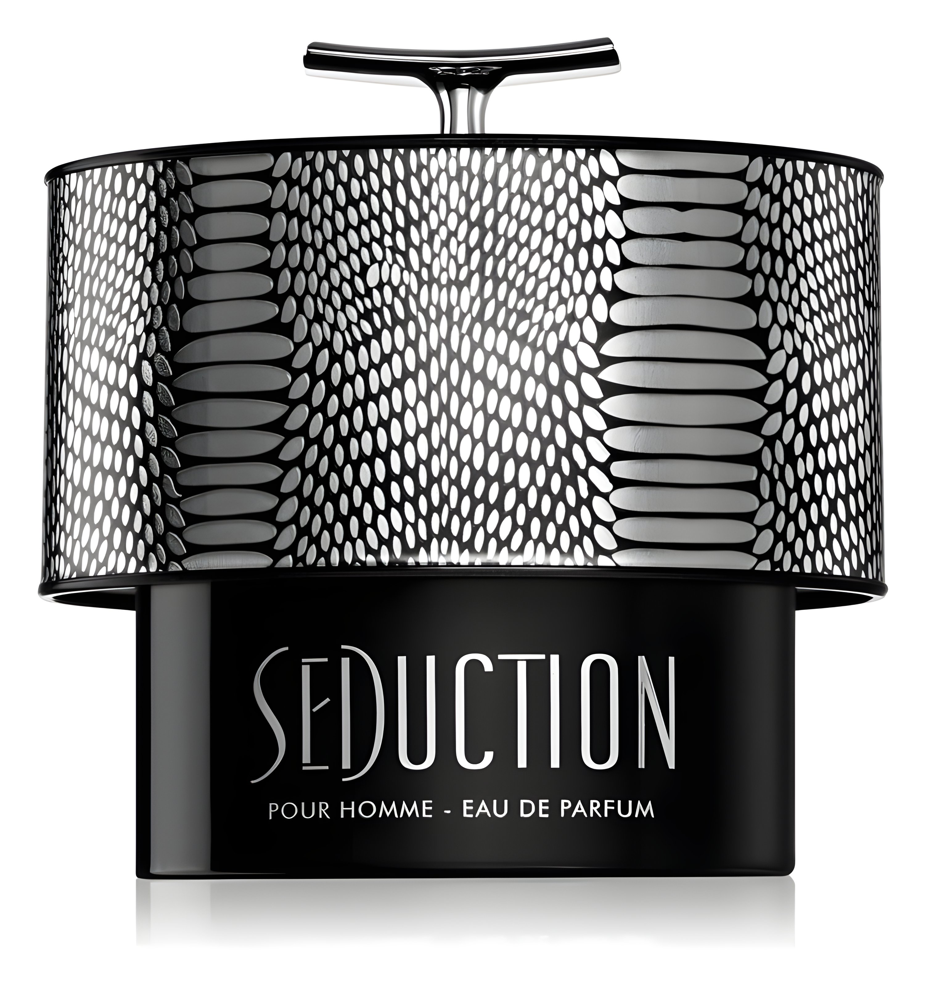 Picture of Seduction Pour Homme fragrance