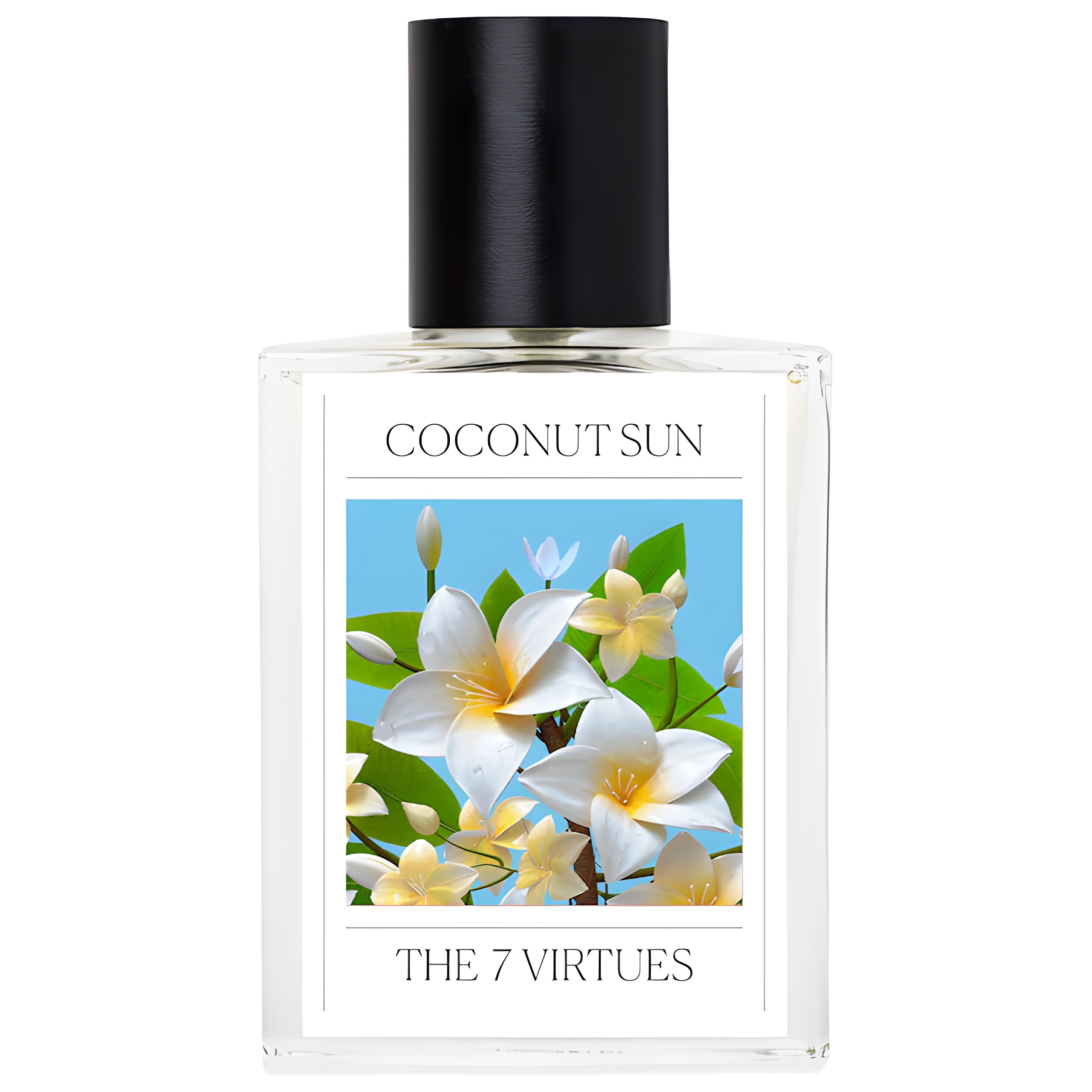 Picture of Coconut Sun fragrance