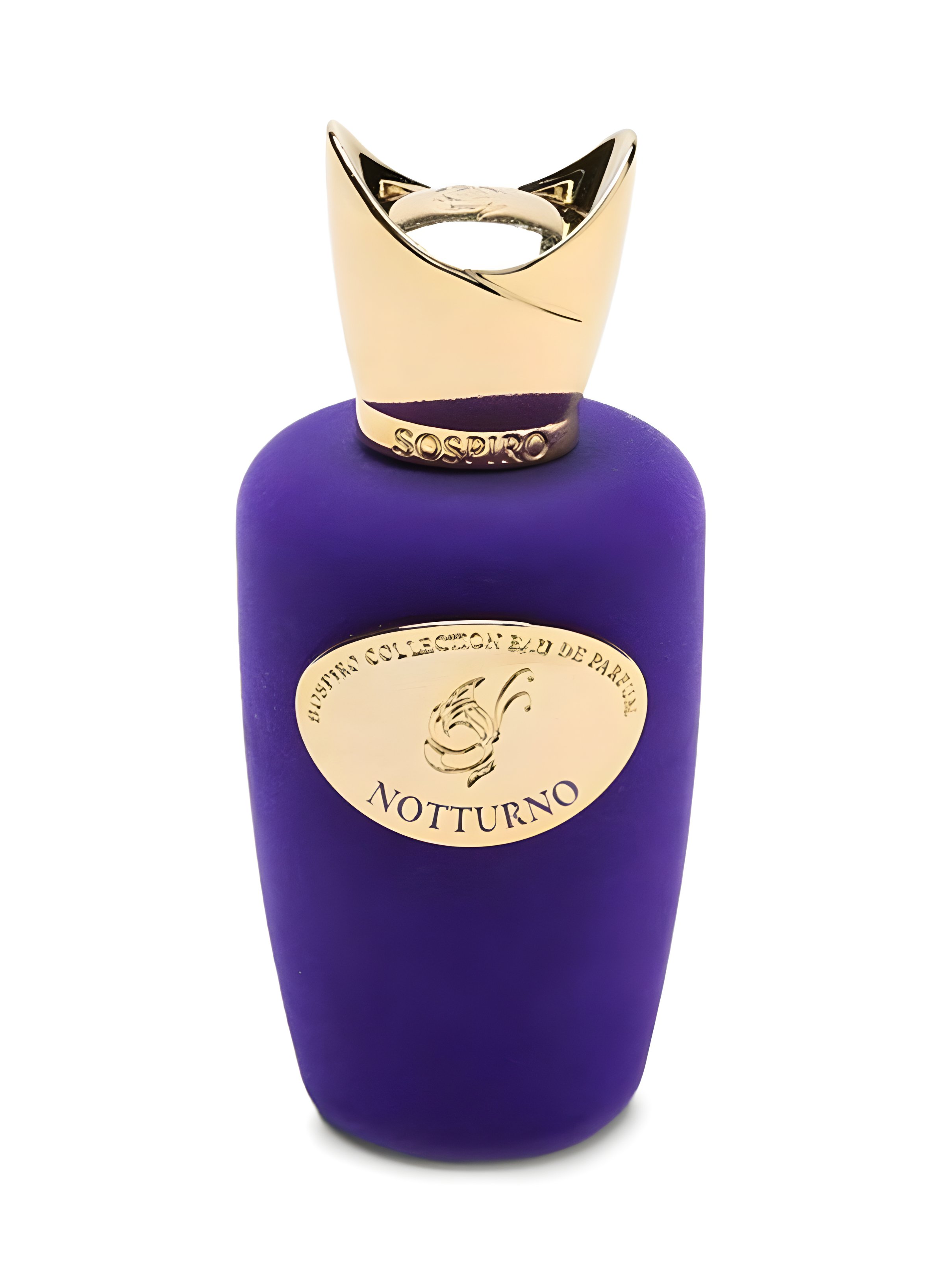 Picture of Notturno fragrance