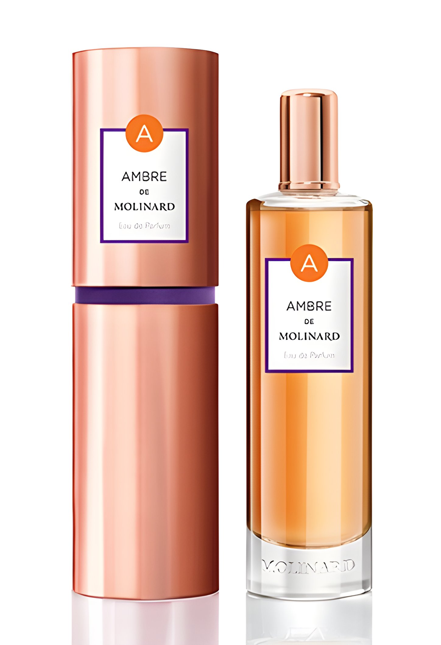 Picture of Ambre fragrance