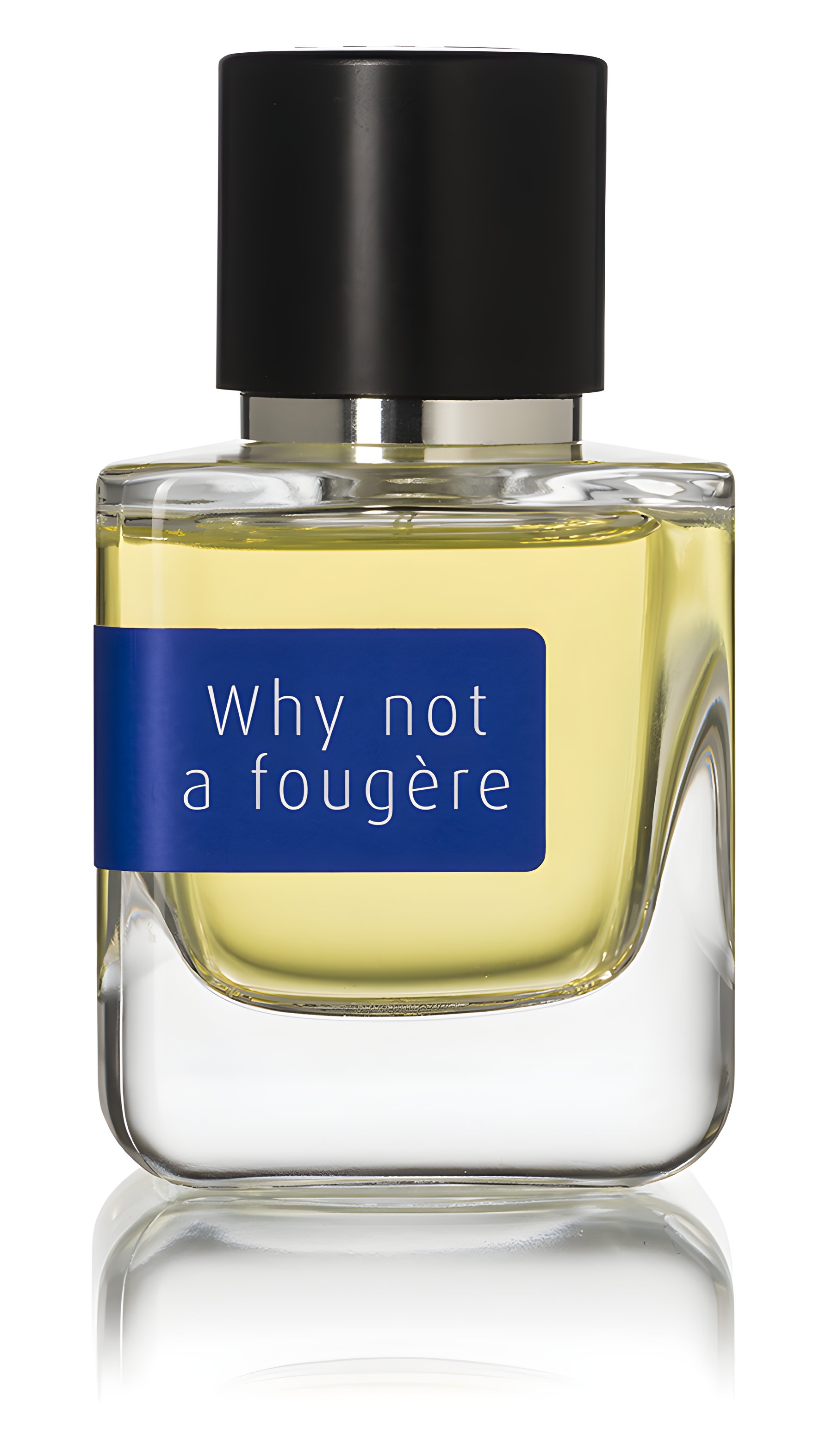 Picture of Why Not a Fougère fragrance