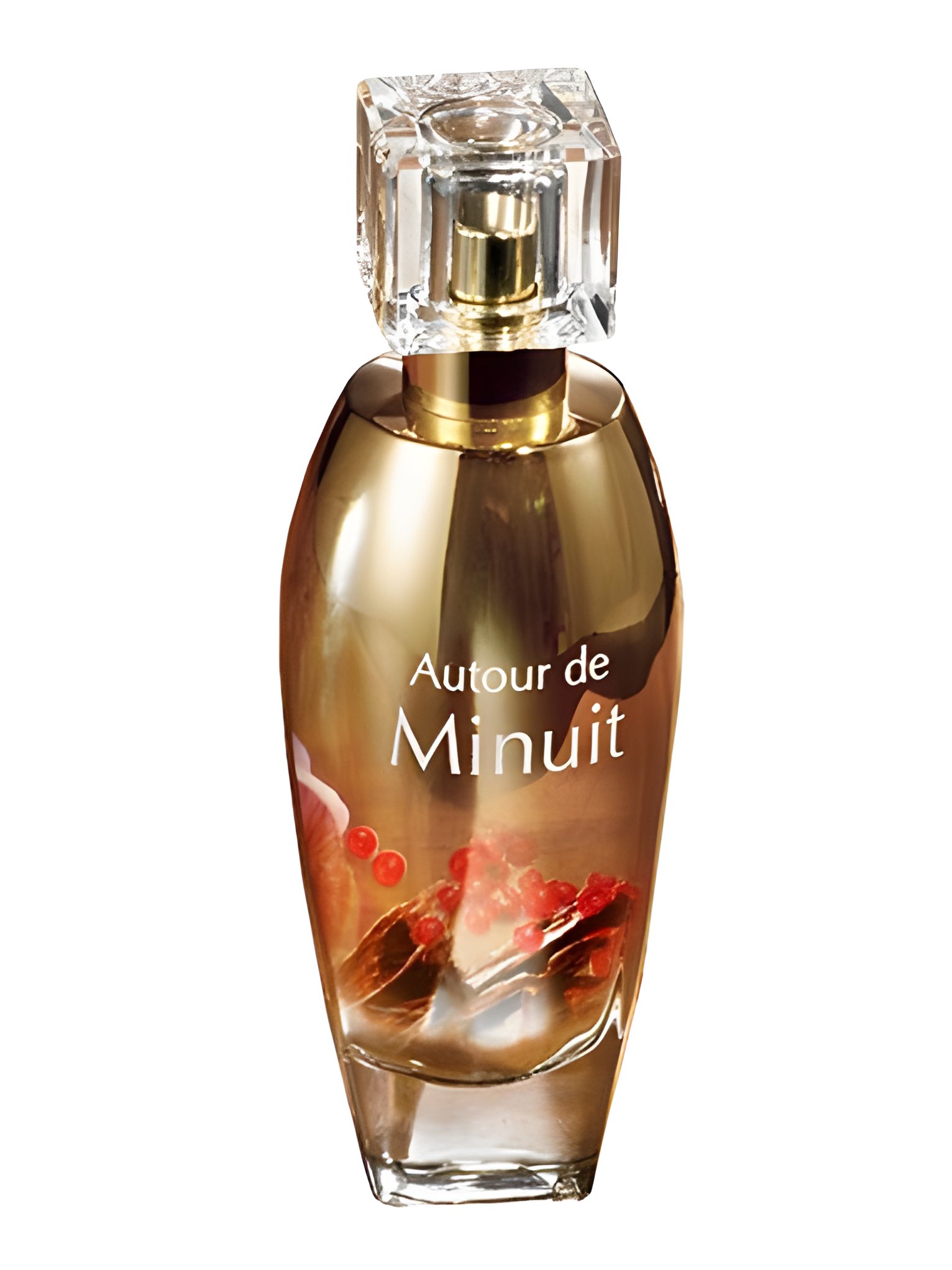 Picture of Autour de Minuit fragrance