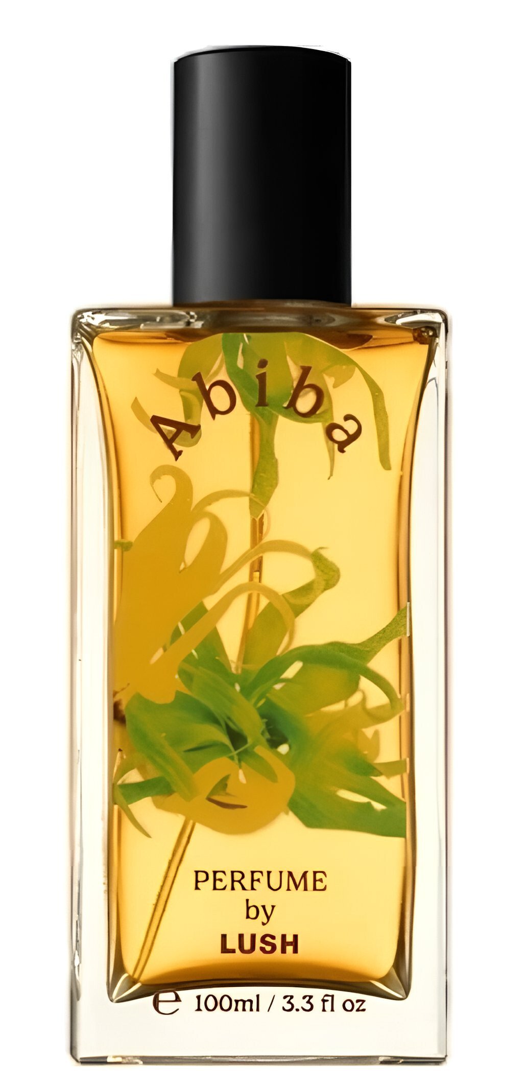 Picture of Abiba fragrance