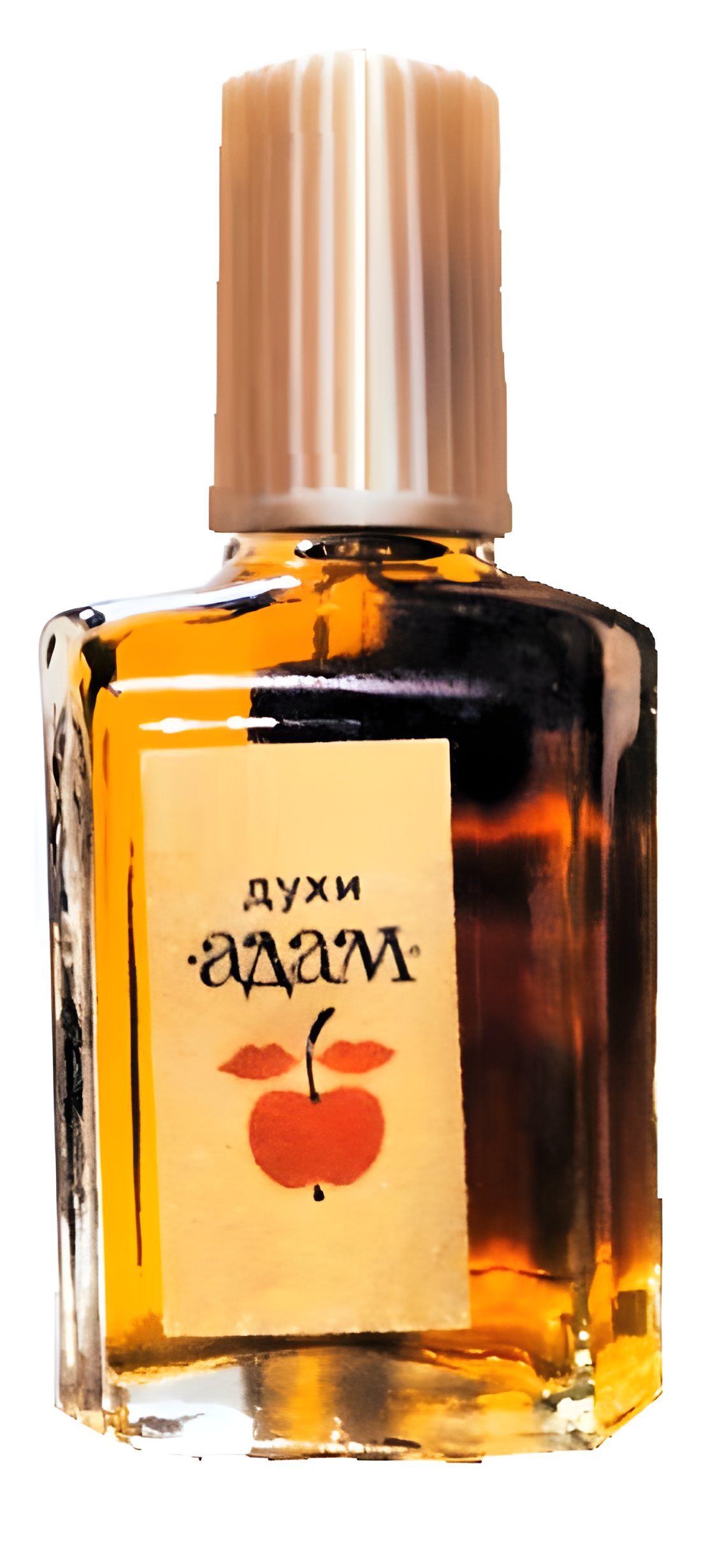 Picture of Адам - Adam fragrance