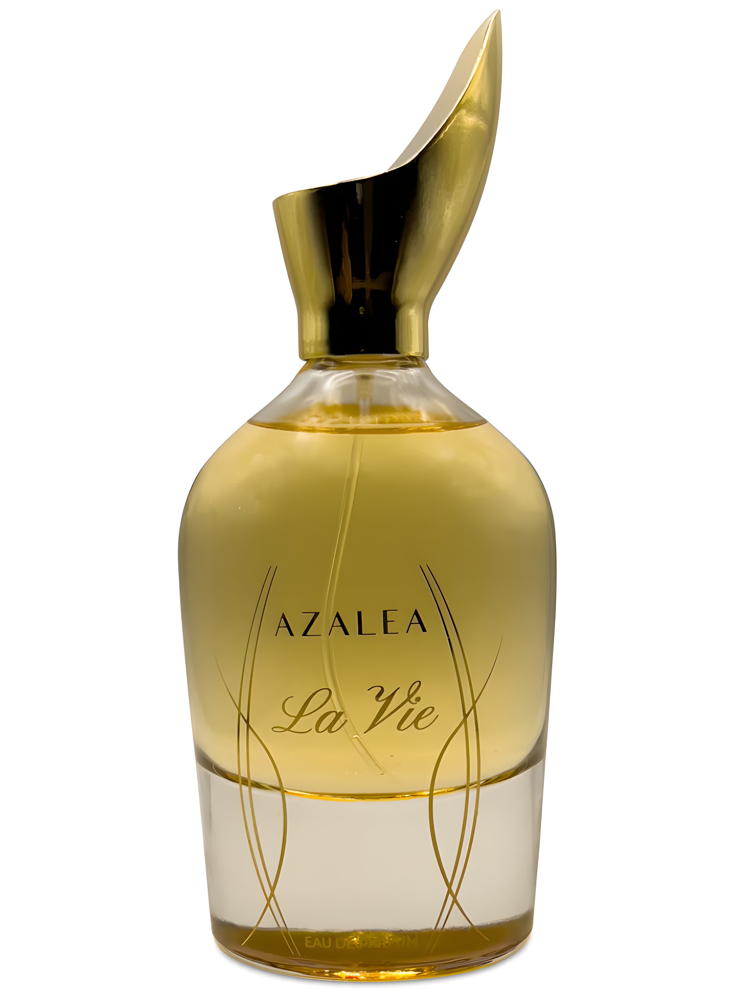 Picture of La Vie fragrance