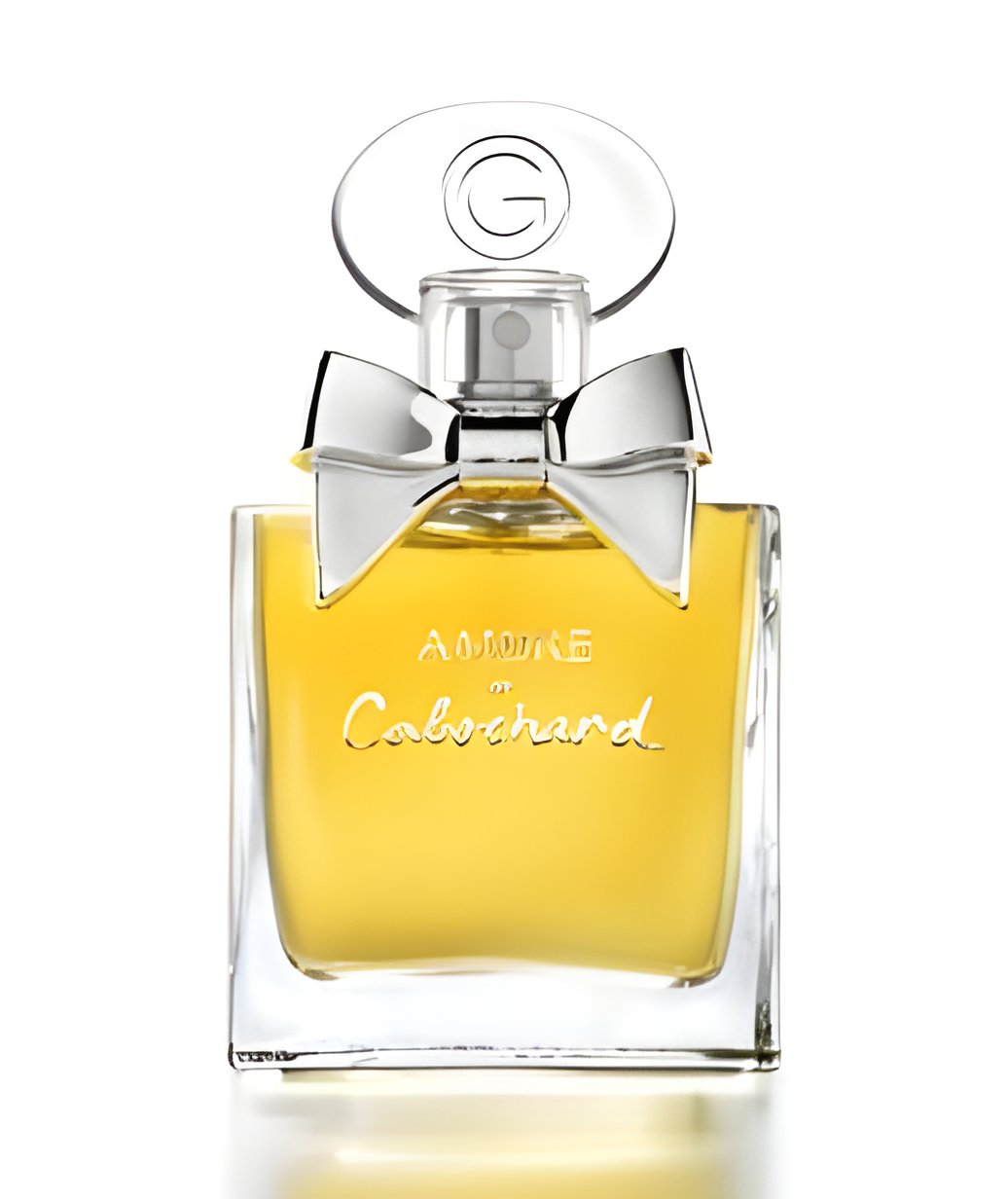 Picture of Ambre de Cabochard fragrance