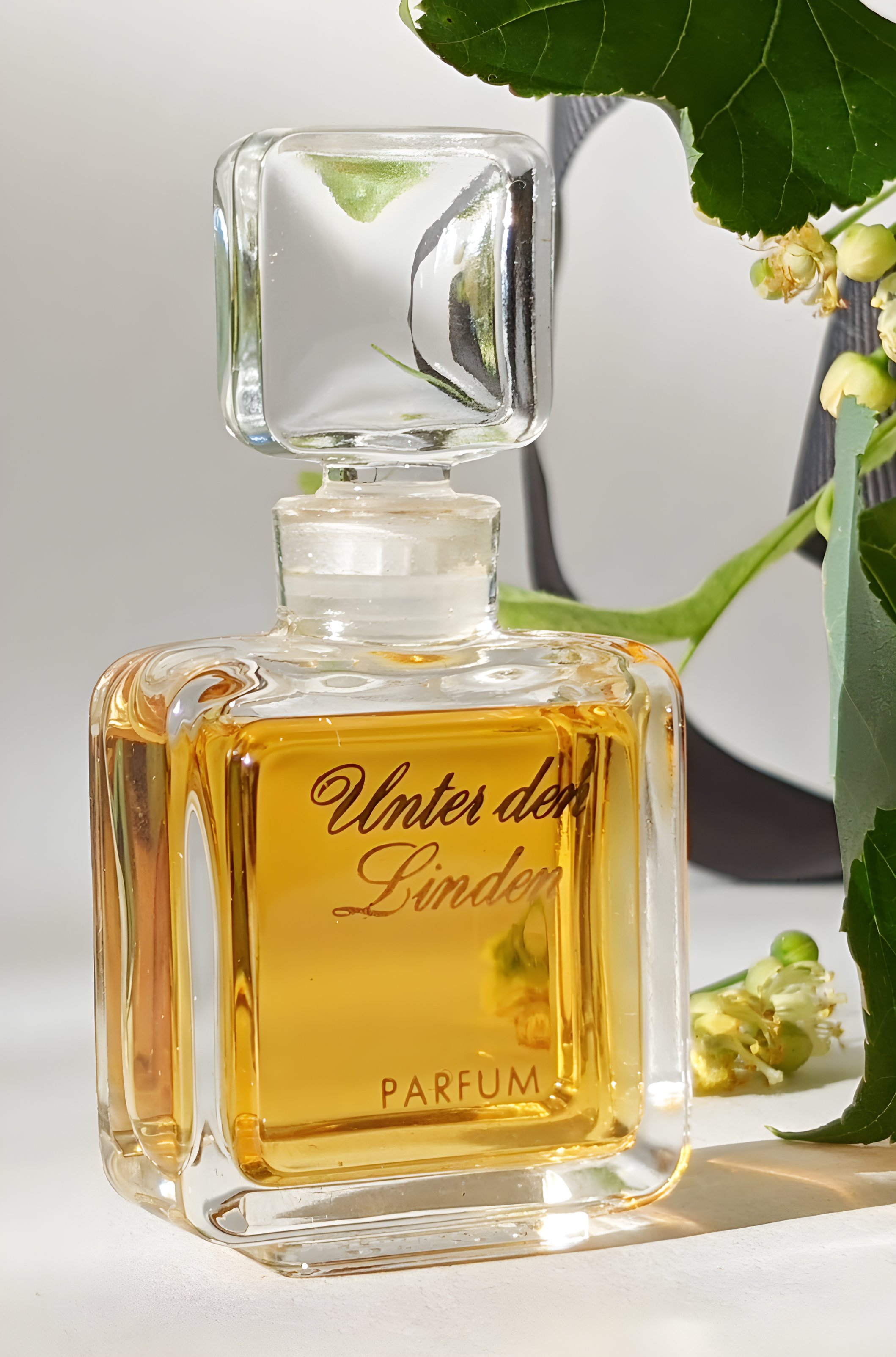 Picture of Unter Den Linden fragrance