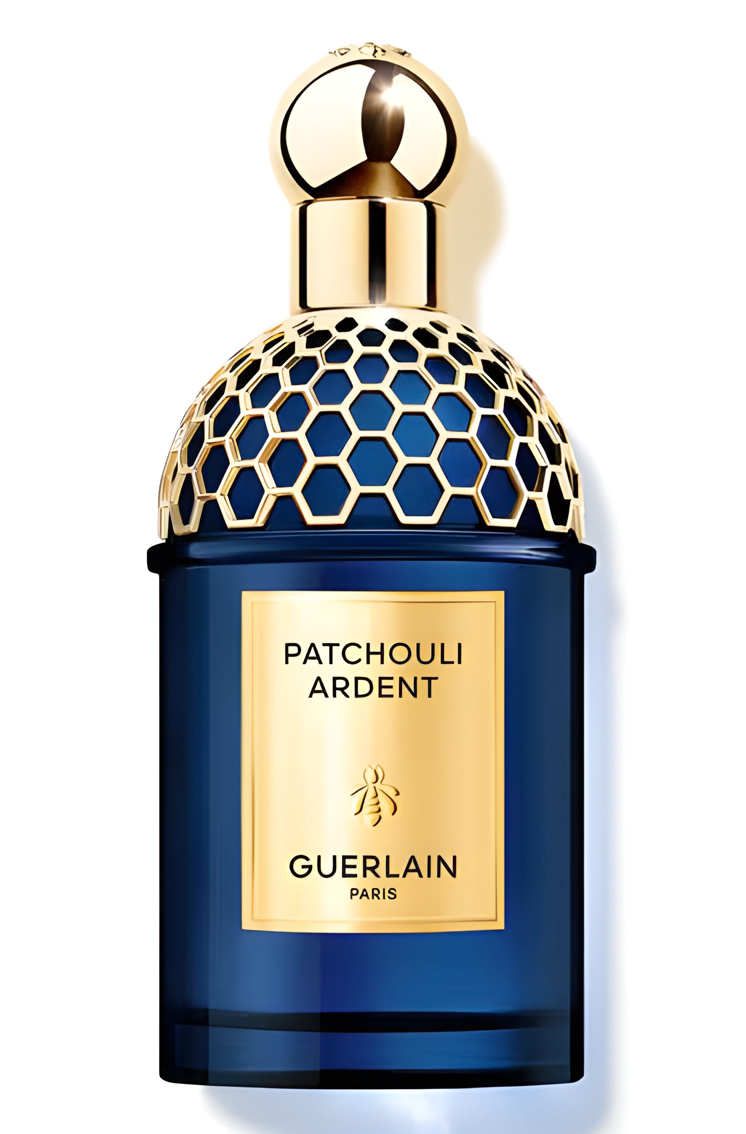 Picture of Patchouli Ardent fragrance