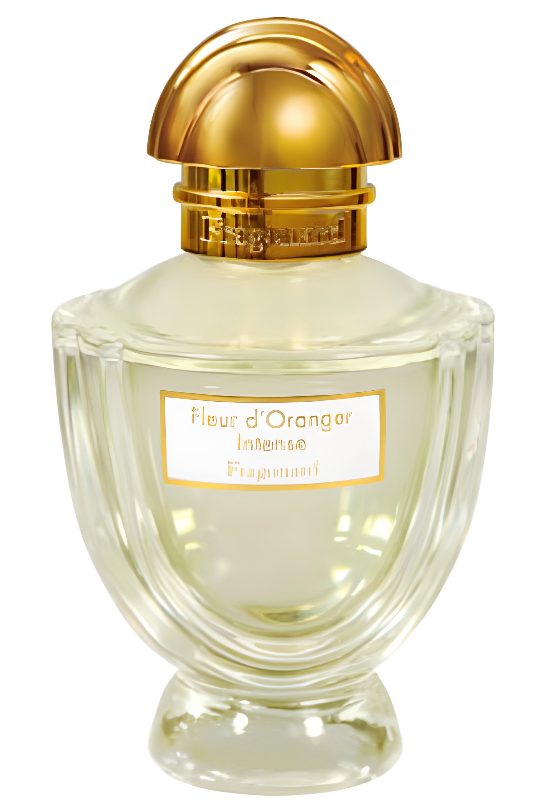 Picture of Fleur D'oranger Intense fragrance