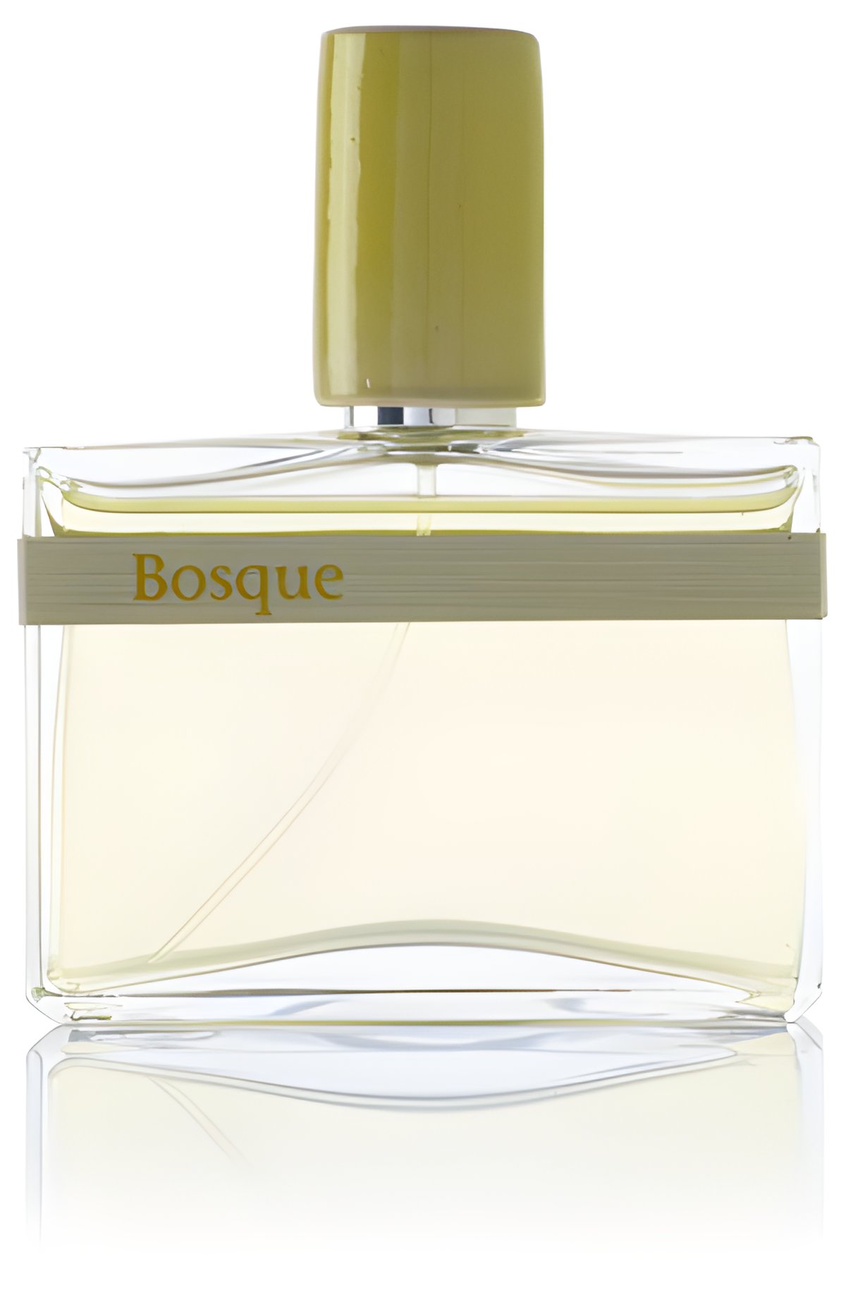 Picture of Bosque fragrance