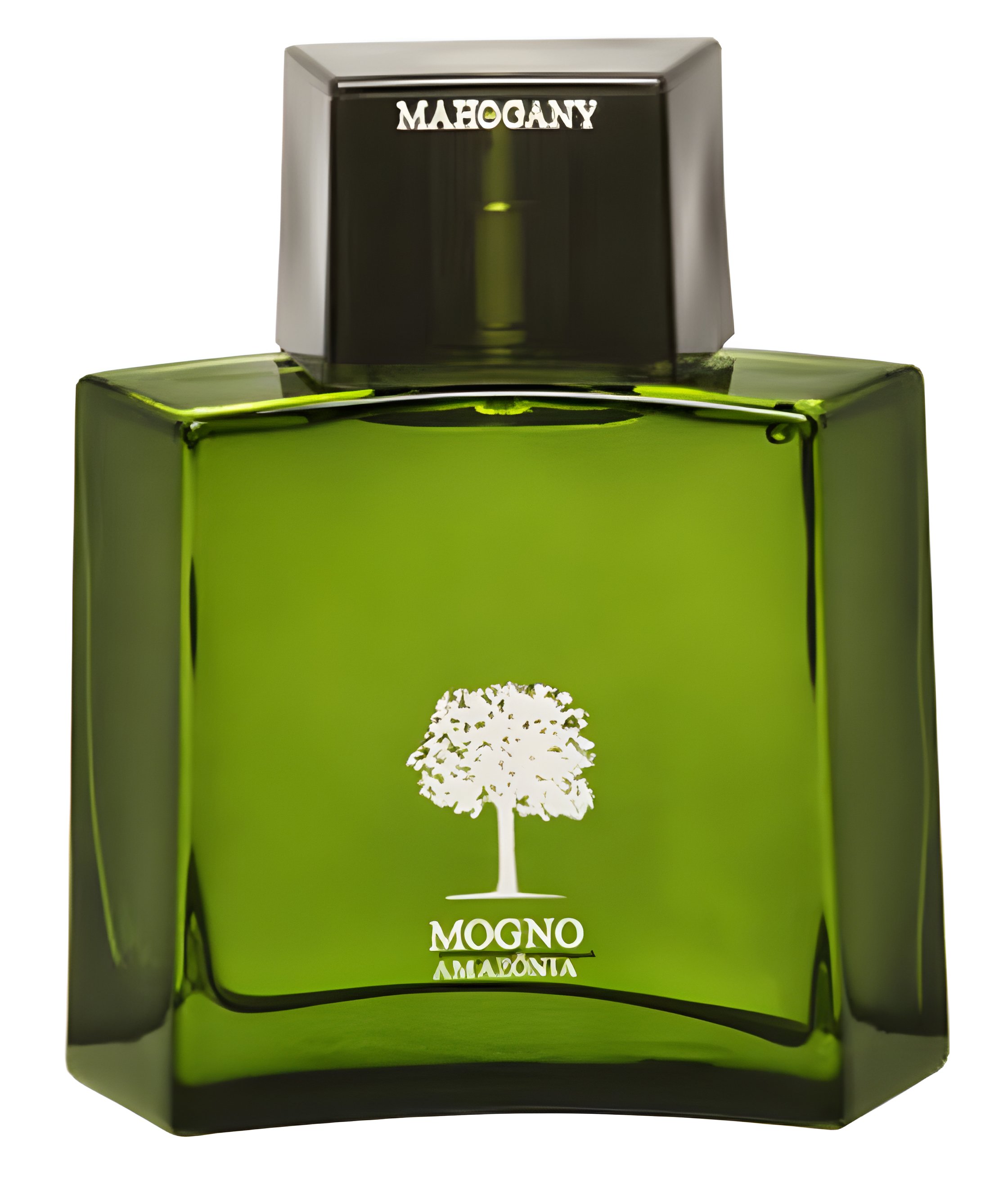 Picture of Mogno Amazônia fragrance