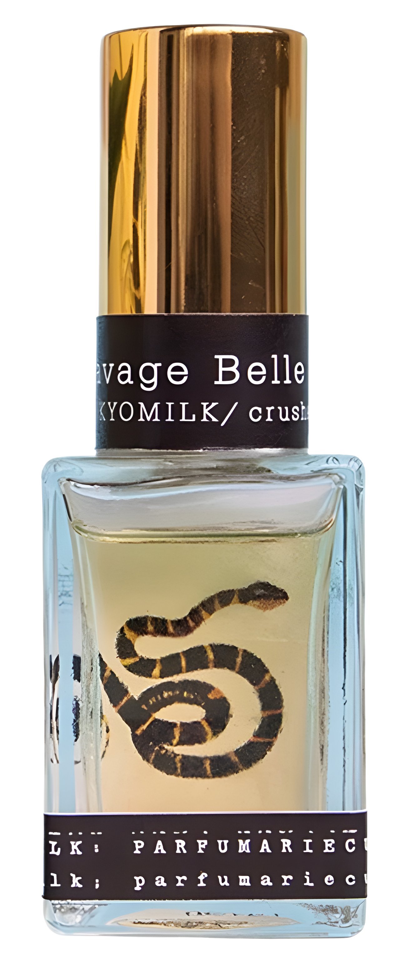 Picture of Savage Belle fragrance