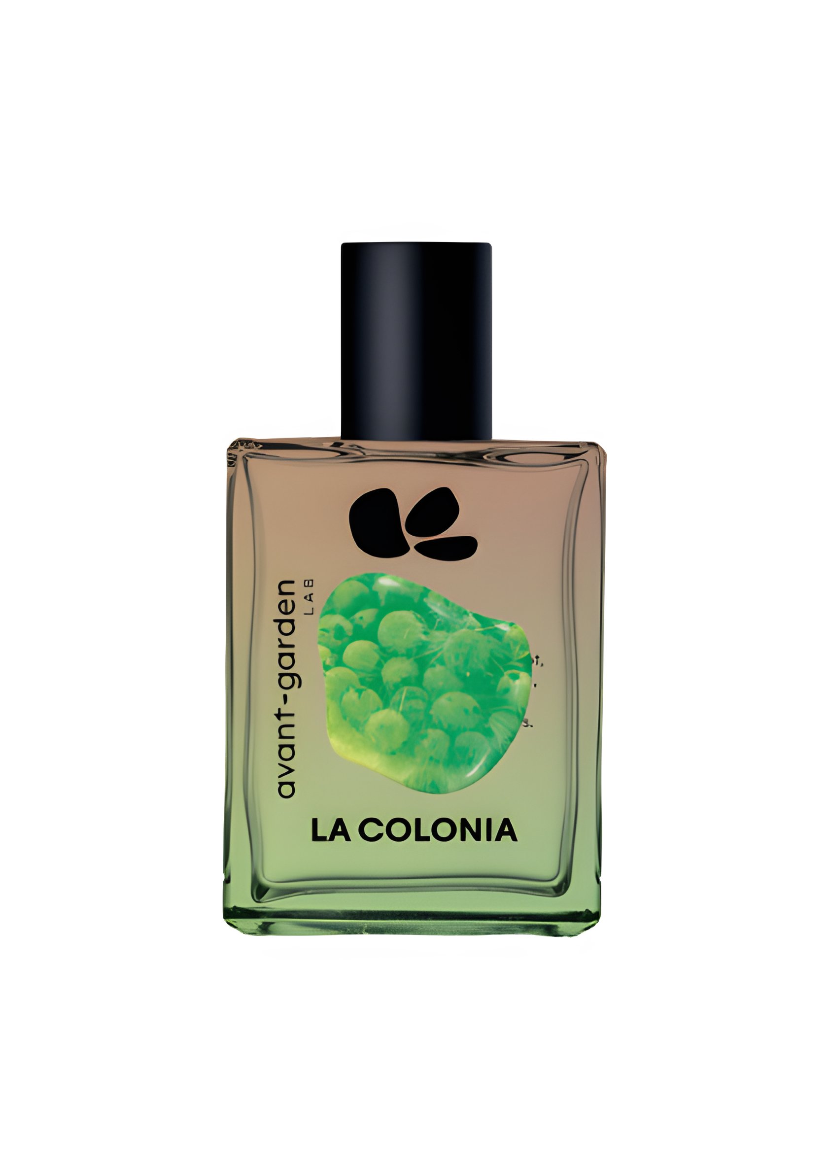 Picture of La Colonia fragrance