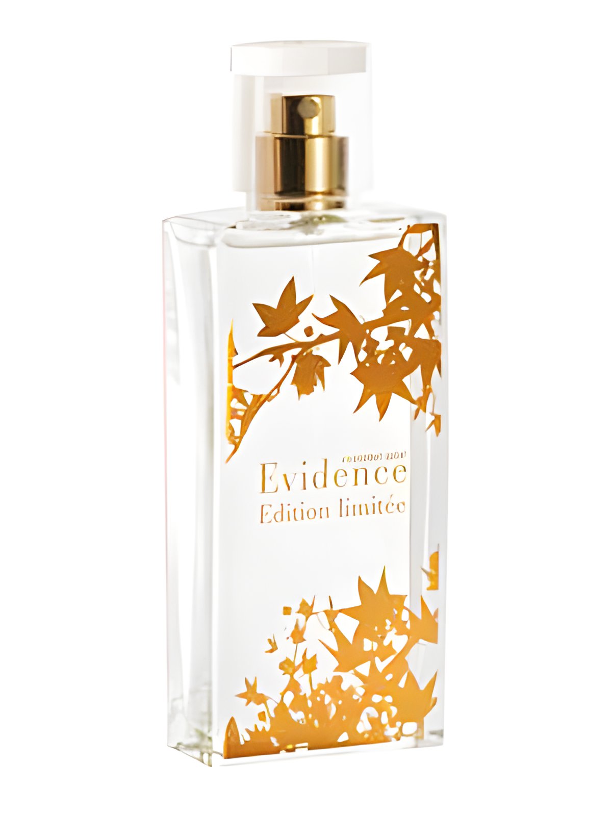 Picture of Comme Une Evidence Limited Edition 2008 fragrance