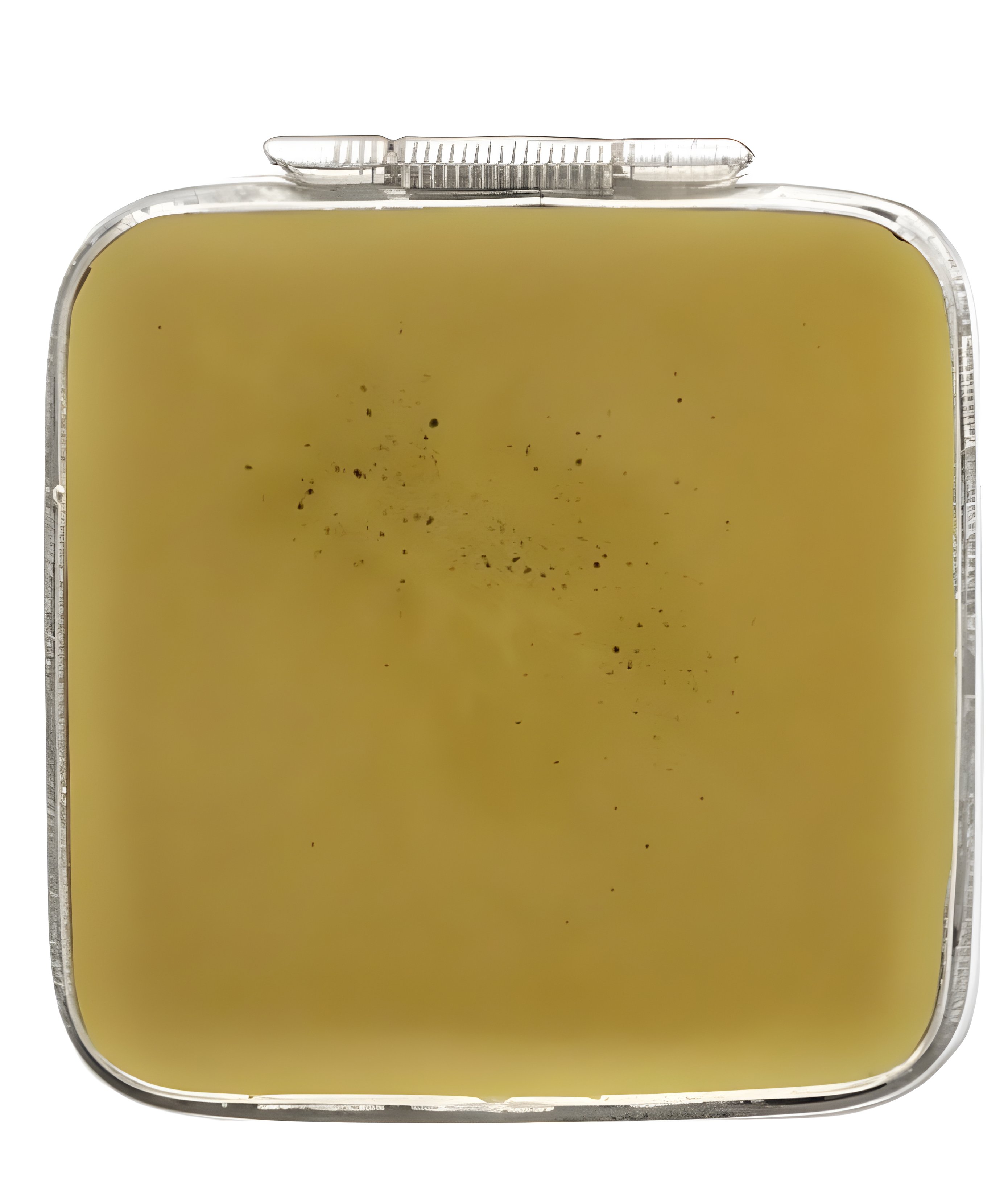 Picture of Antique Ambergris fragrance