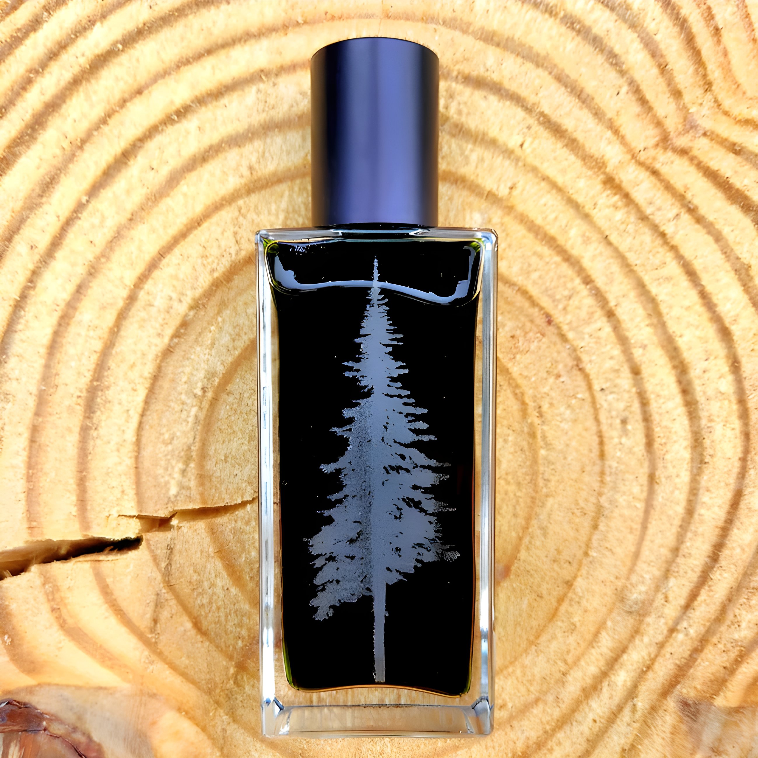 Picture of White Fir fragrance