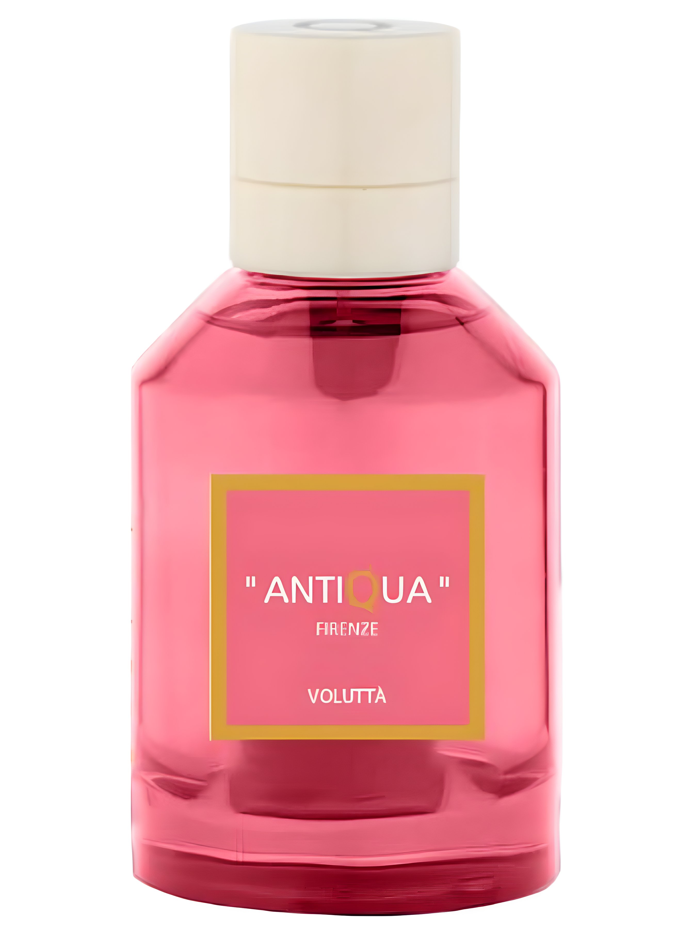 Picture of Voluttà fragrance