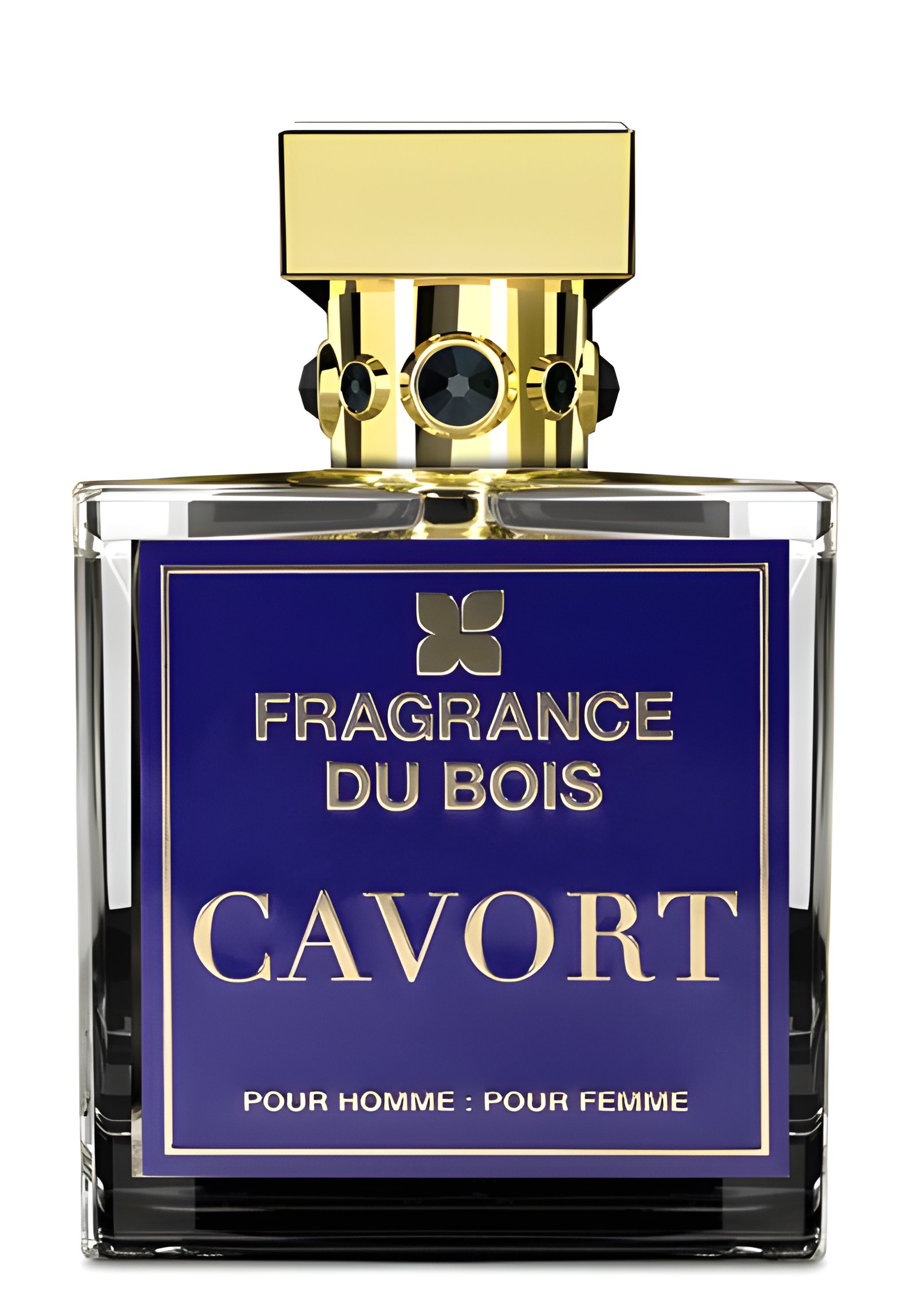 Picture of Cavort Extrait de Parfum fragrance