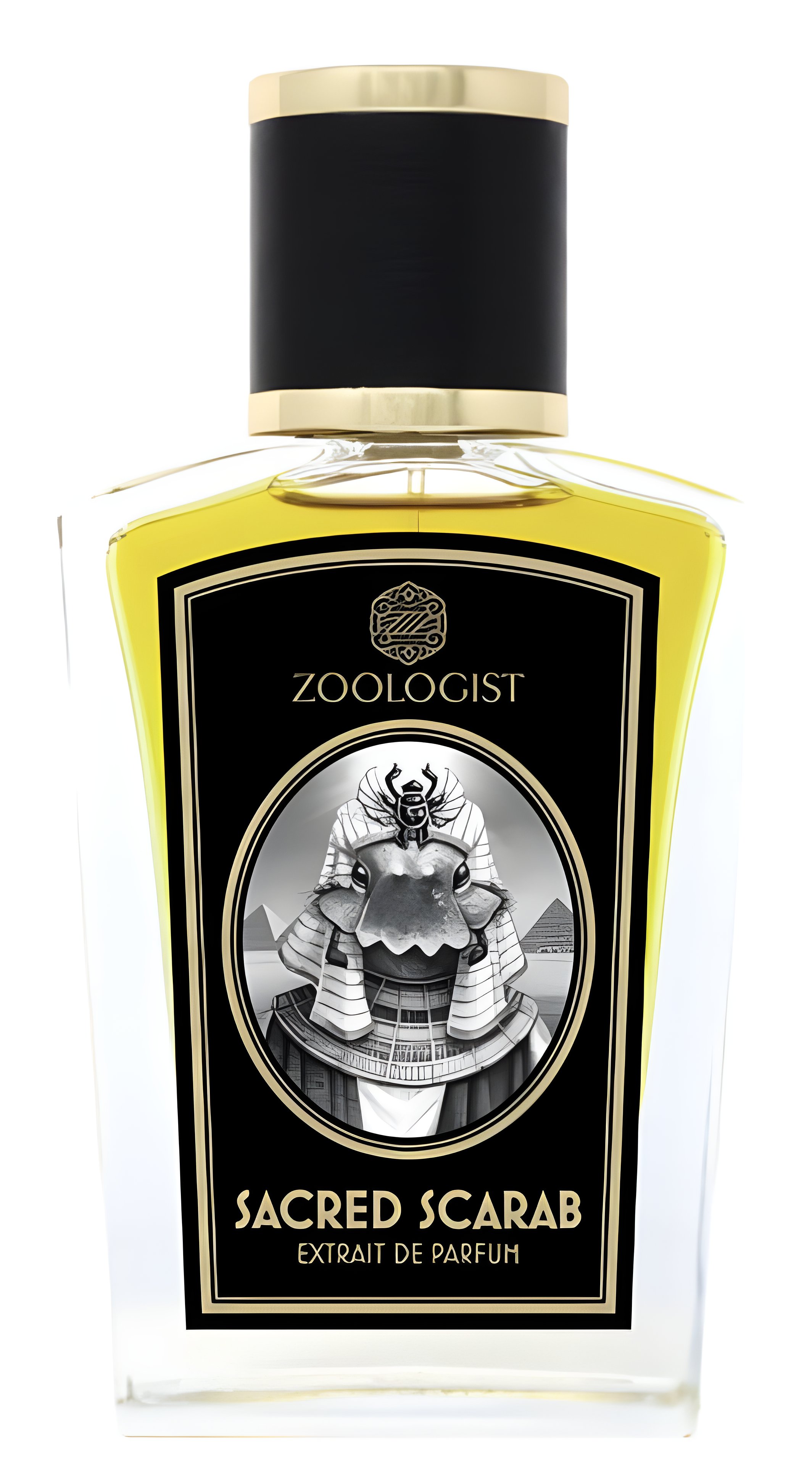 Picture of Sacred Scarab fragrance