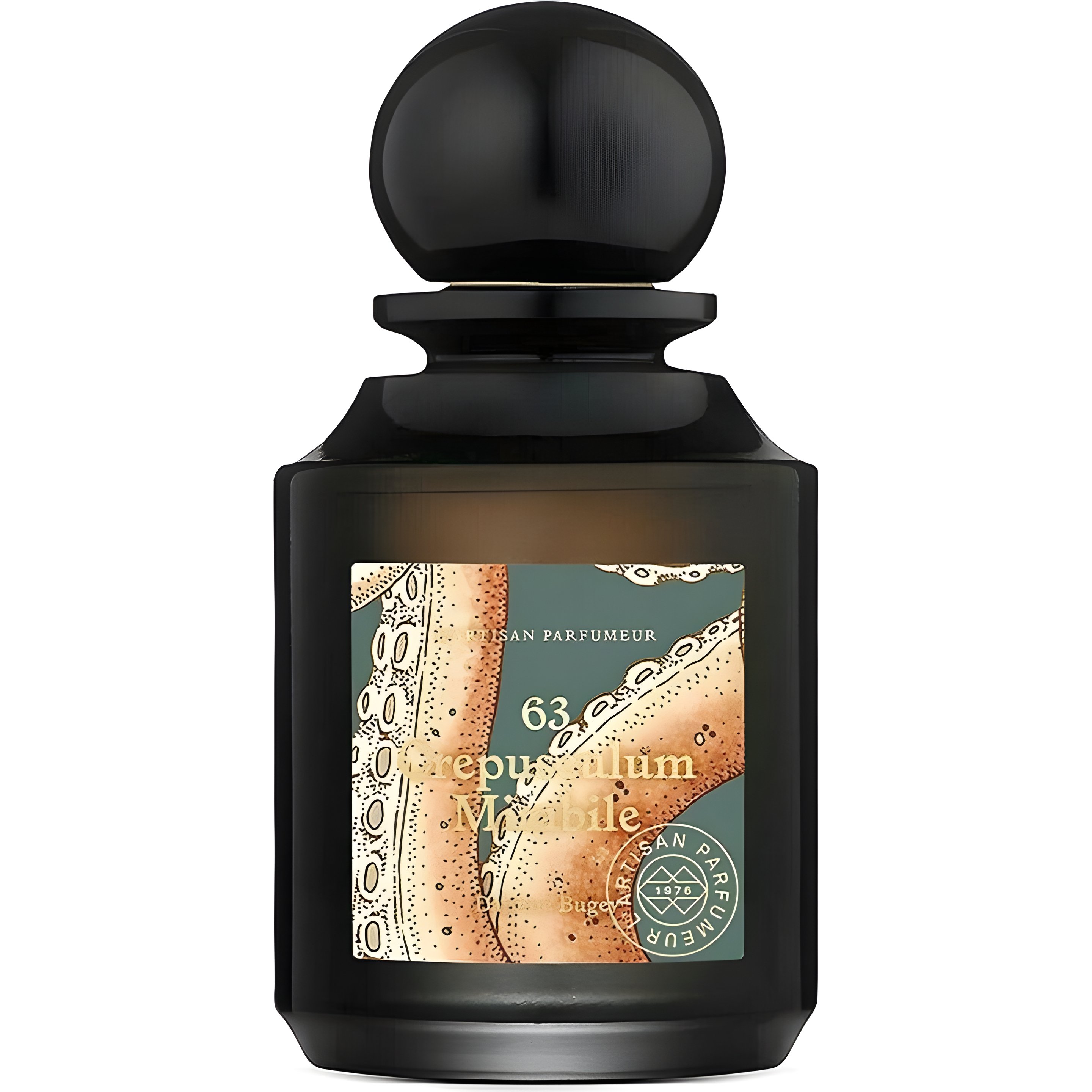 Picture of Crepusculum Mirabile 63 fragrance