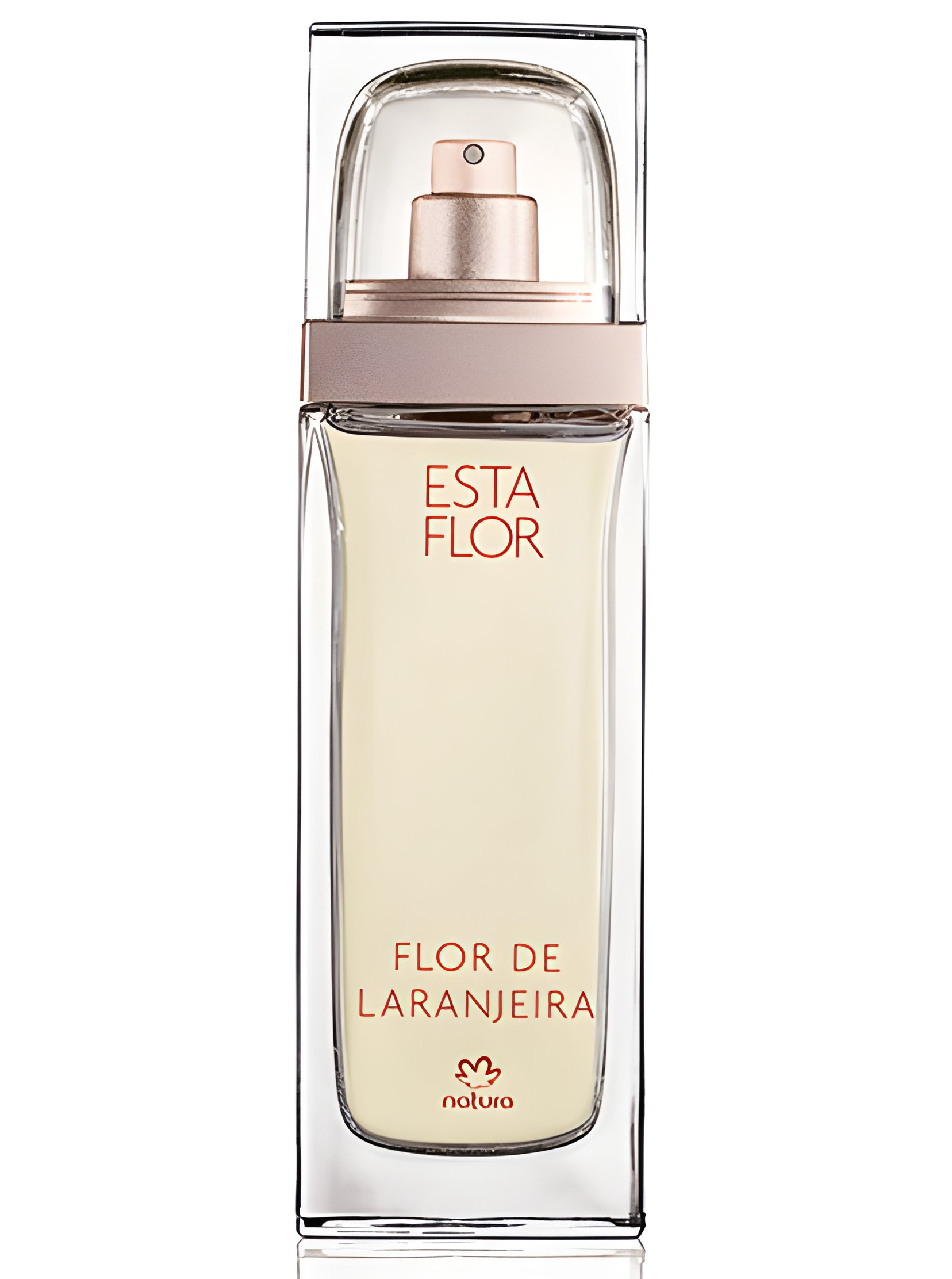 Picture of Esta Flor Flor de Laranjeira fragrance