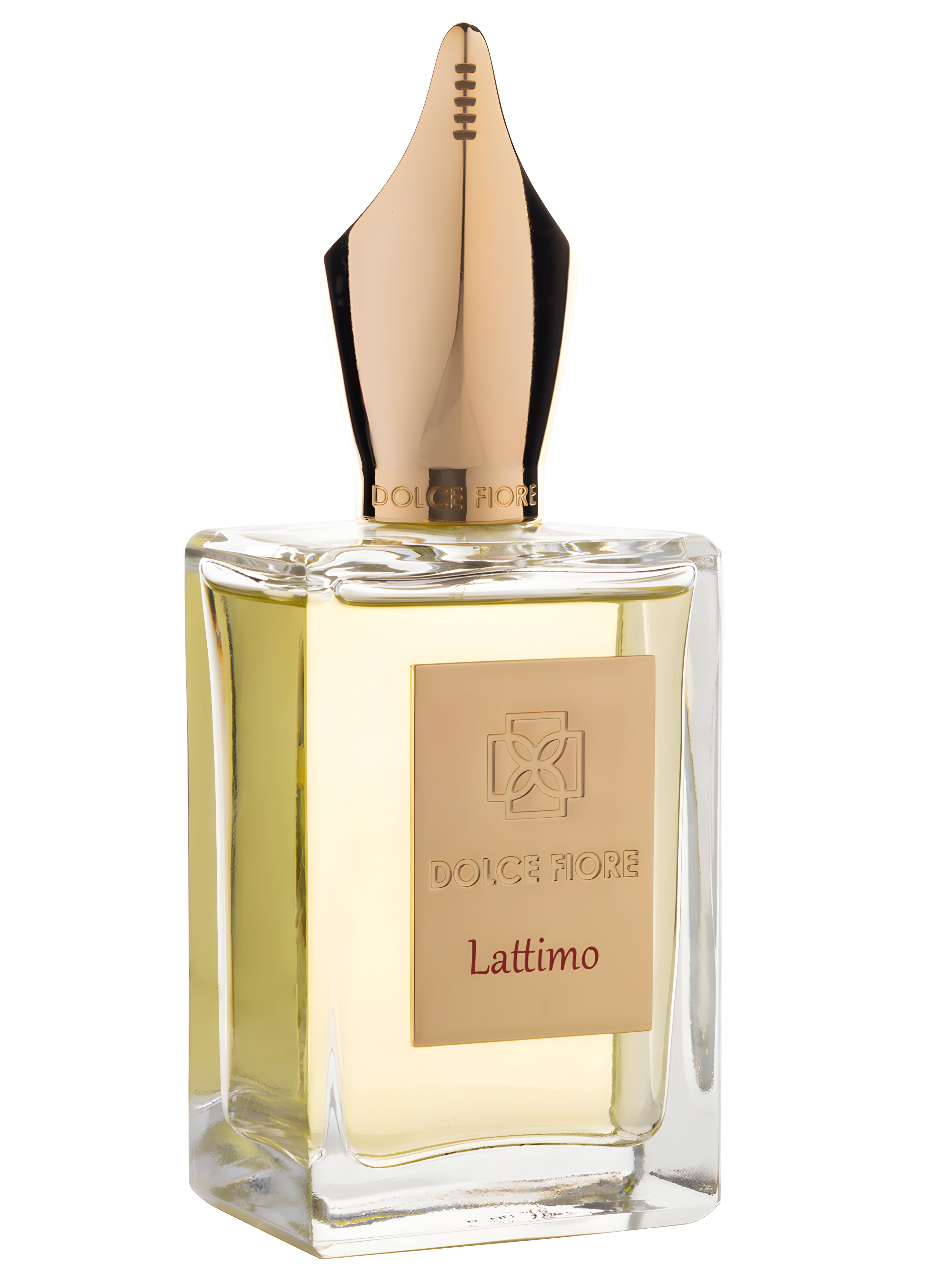 Picture of Lattimo fragrance