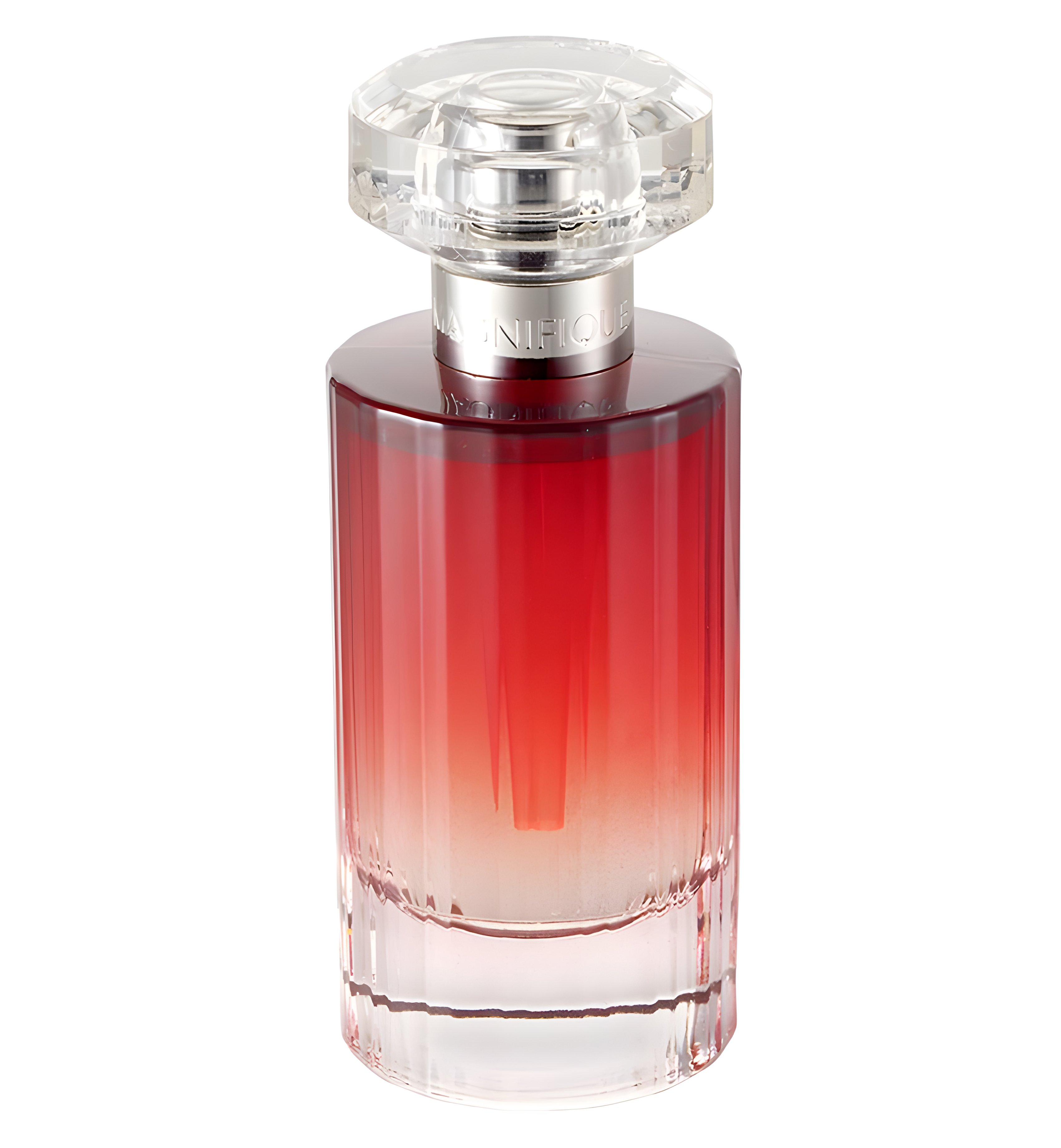 Picture of Magnifique fragrance