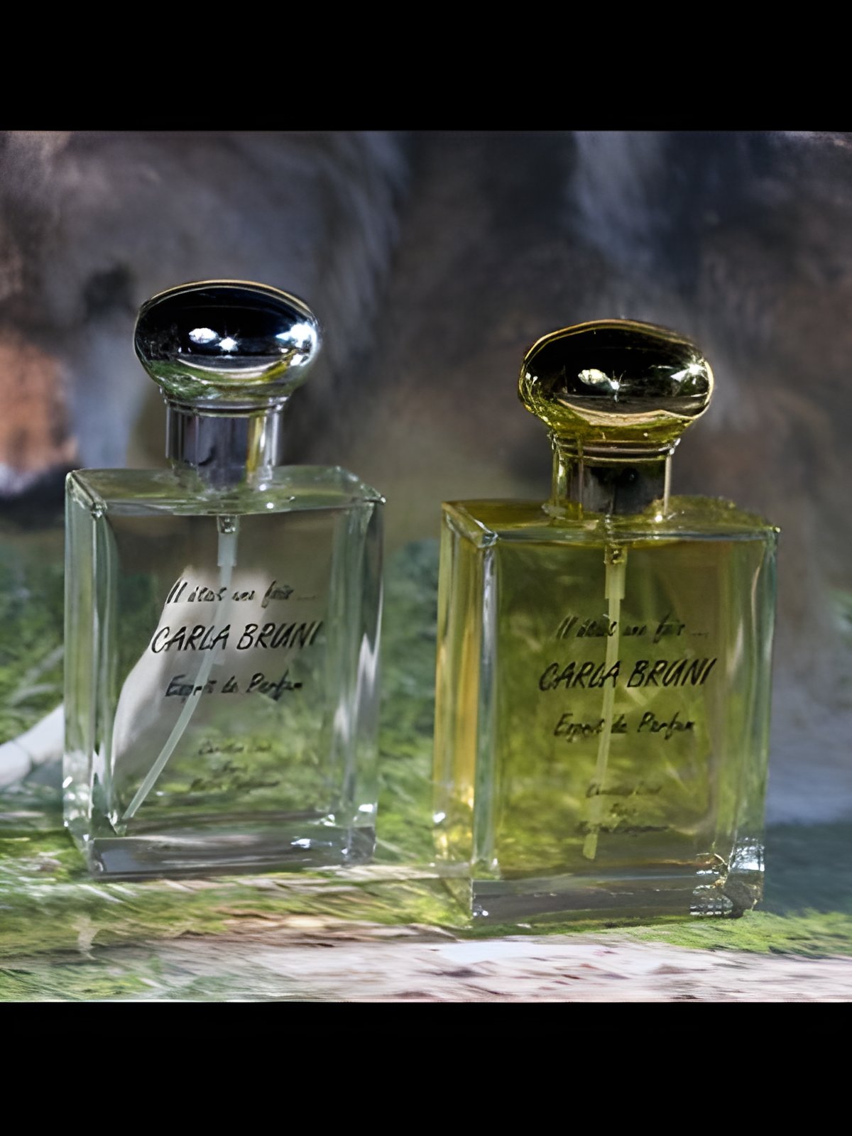 Picture of Carla Bruni fragrance