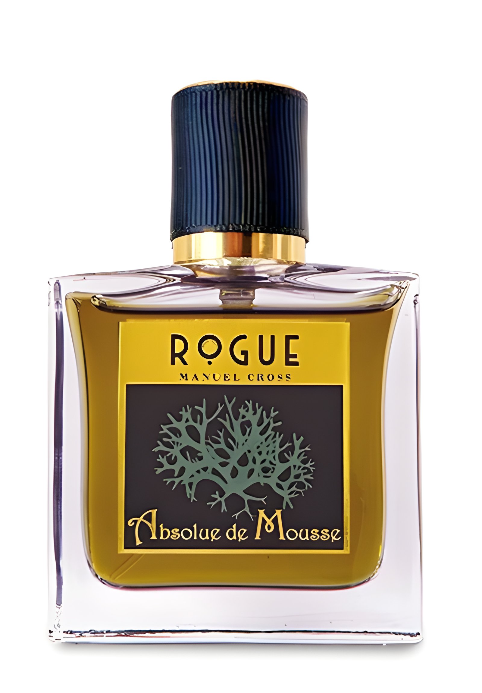 Picture of Absolue de Mousse fragrance