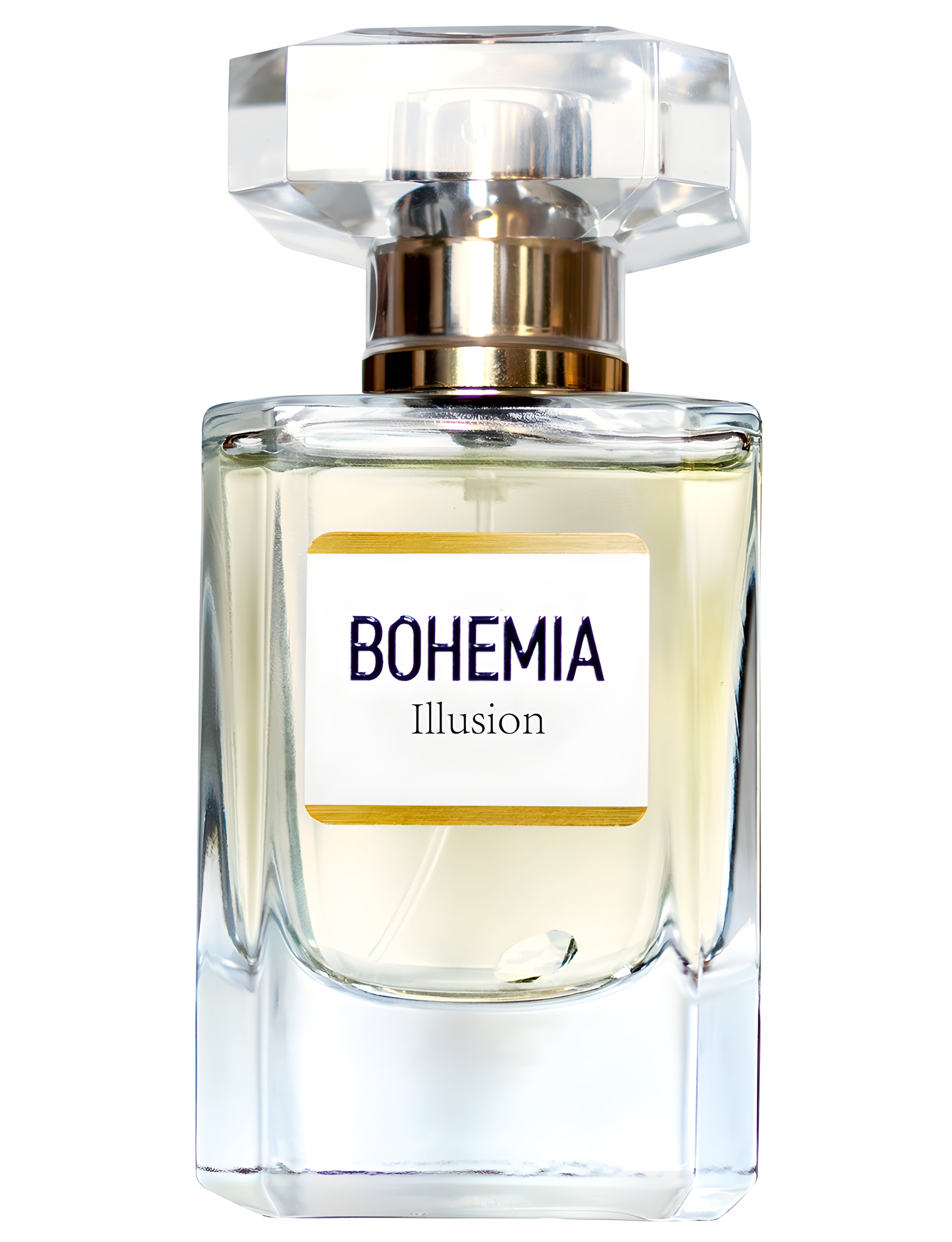 Picture of Bohemia Illusion fragrance