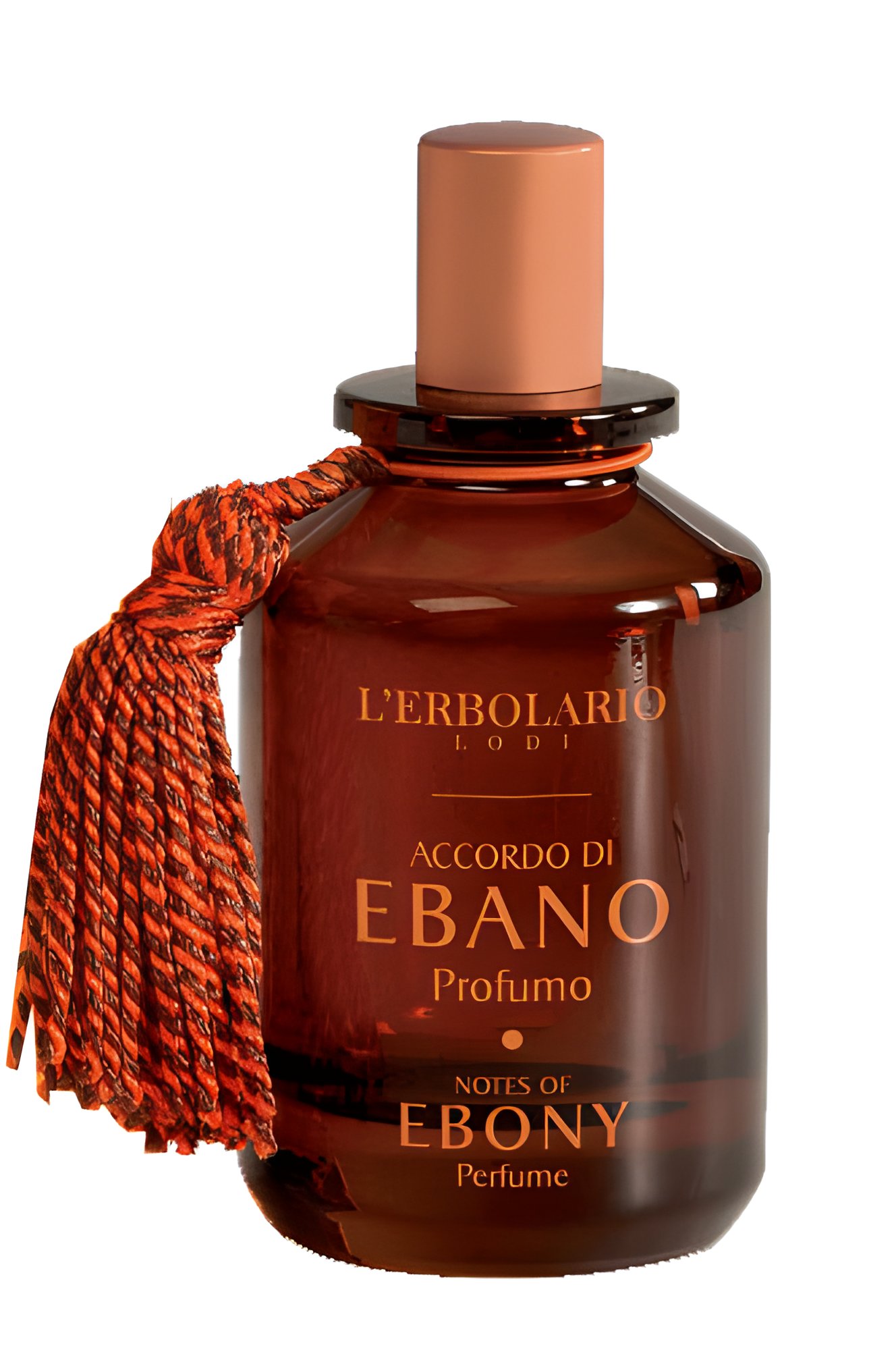 Picture of Accordo Di Ebano (Perfume Notes of Ebony) fragrance