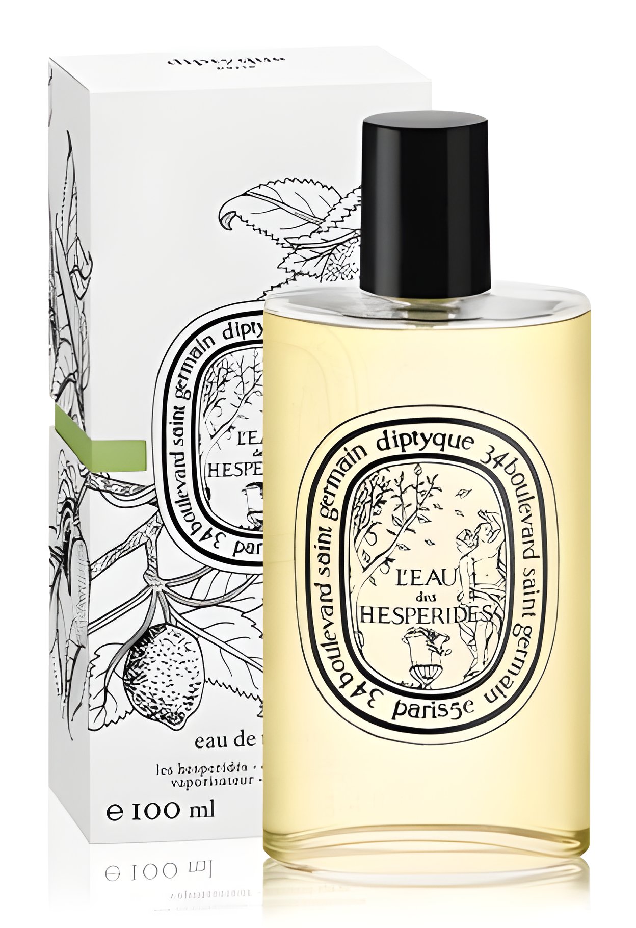 Picture of L'eau Des Hesperides fragrance